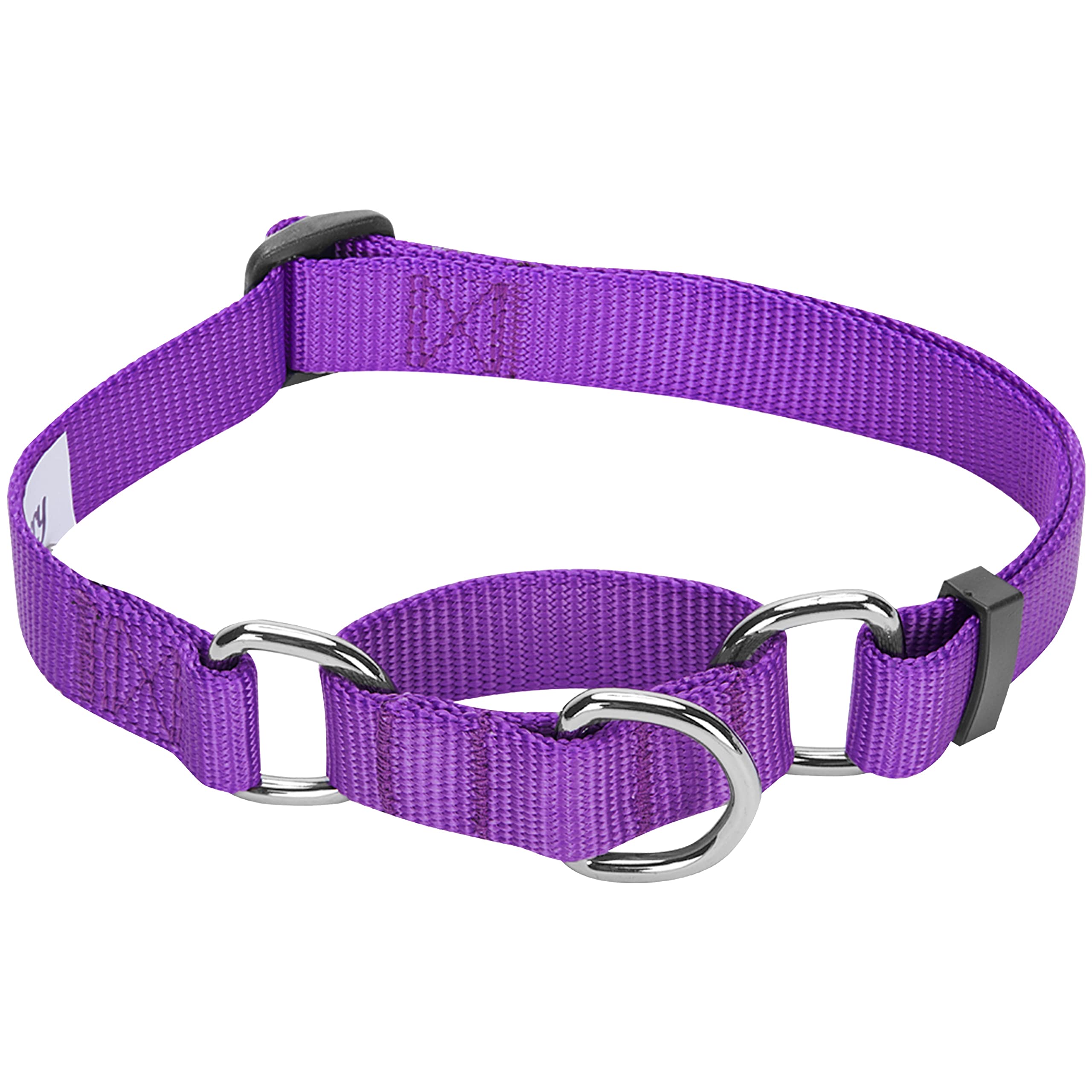 Blueberry Pet Essentials Martingale Safety Training Dog Collar, Dark Orchid, Large, Heavy Duty Nylon Adjustable Collars For Dogs