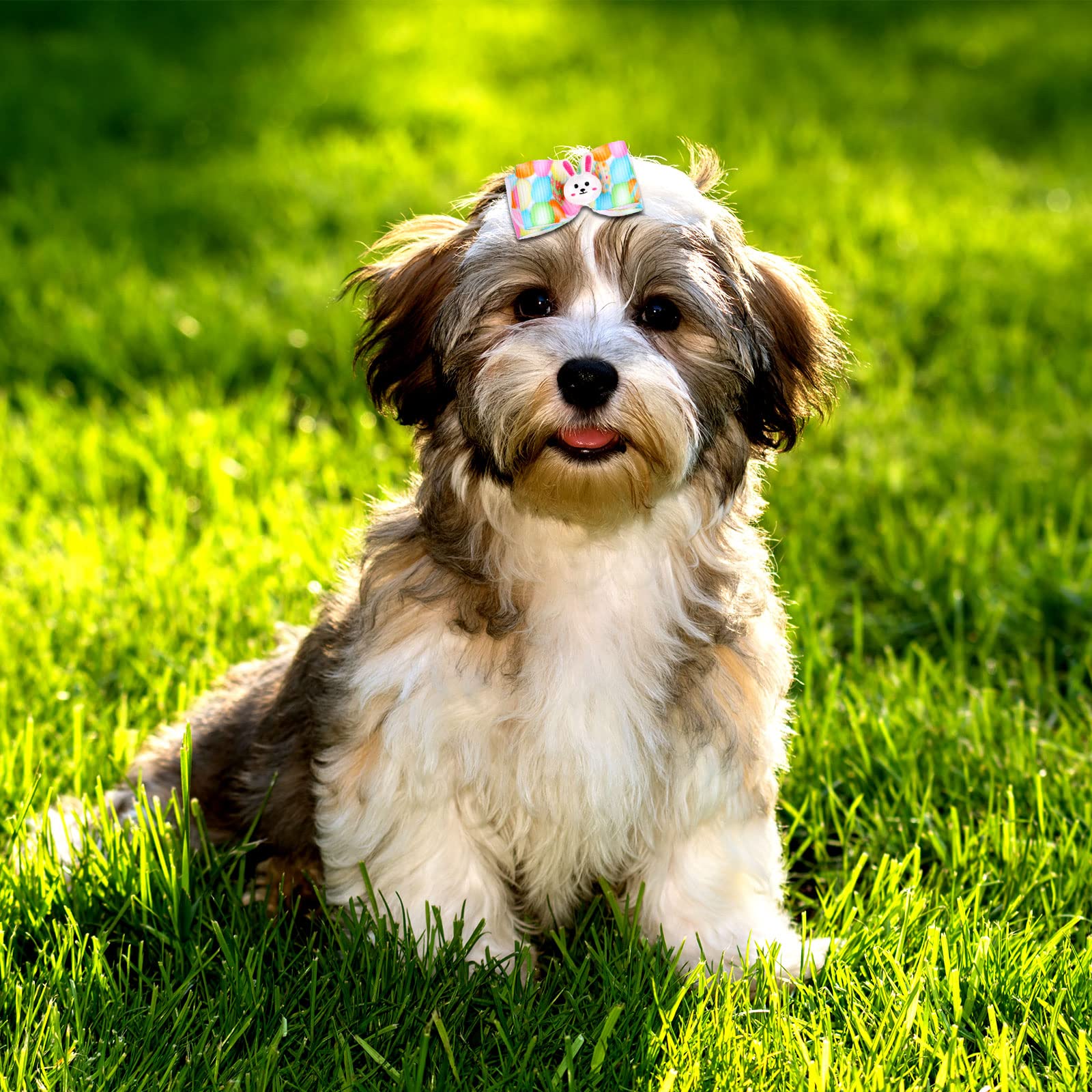 Waydress 40 Pieces Easter Dog Bows Rabbit Bunny Egg Hair Bowknot Pet Easter Bows With Rubber Bands Puppy Easter Rhinestone Bows