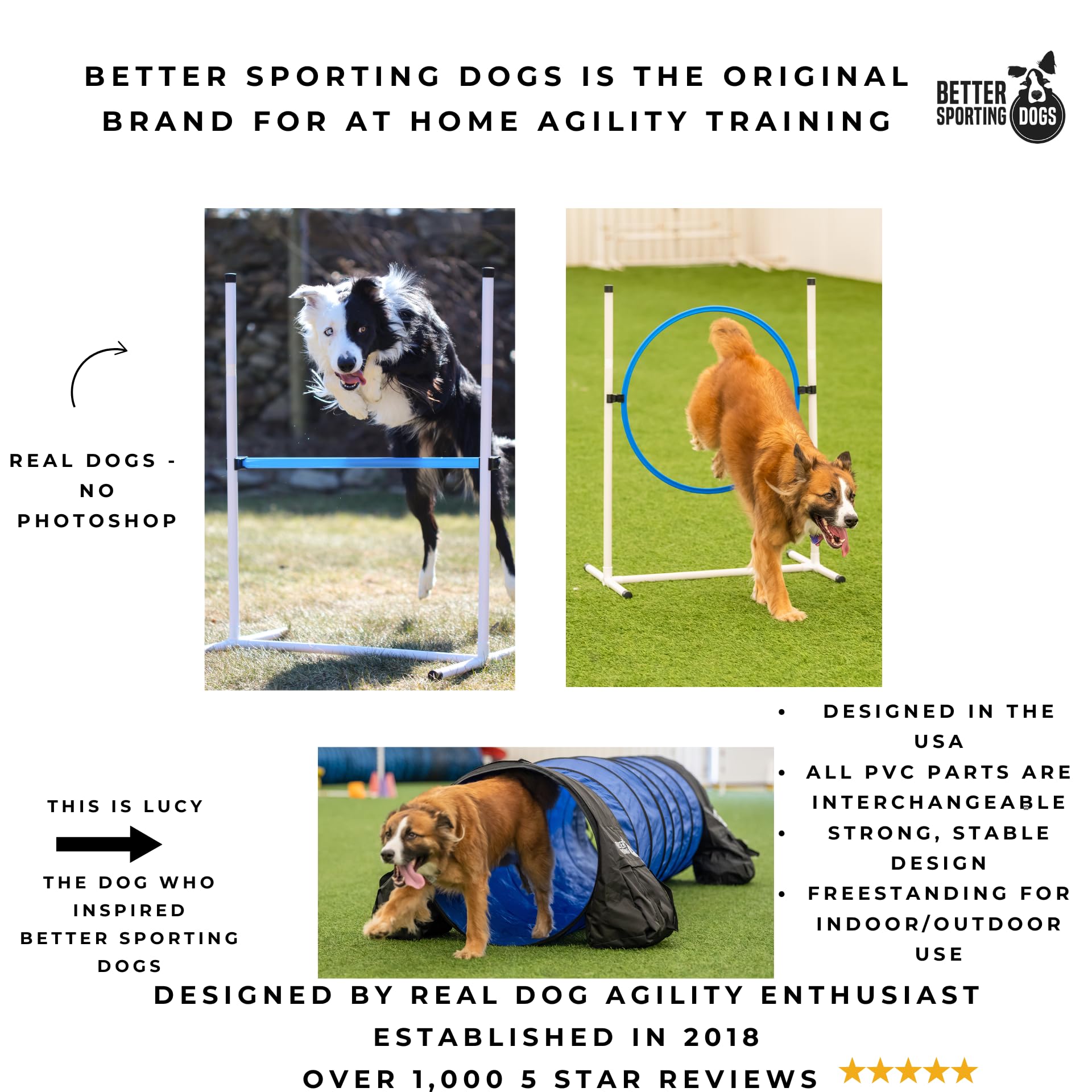 Better Sporting Dogs Complete Starter Agility Set For Dogs | 5 Piece Dog Agility Kit | Agility Jump | Tire Jump | Weave Poles |