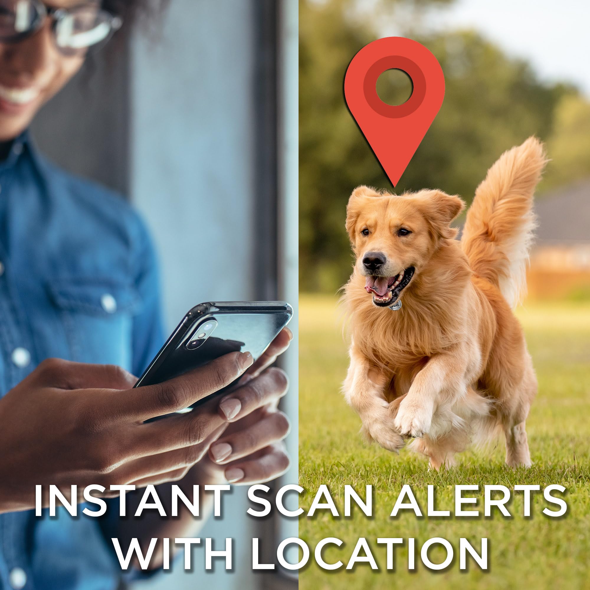 Betterpaw Qr Code Dog Tag - Customizable Online Pet Profile, No App Required, Scan Alerts With Location, One-Time Purchase, Life