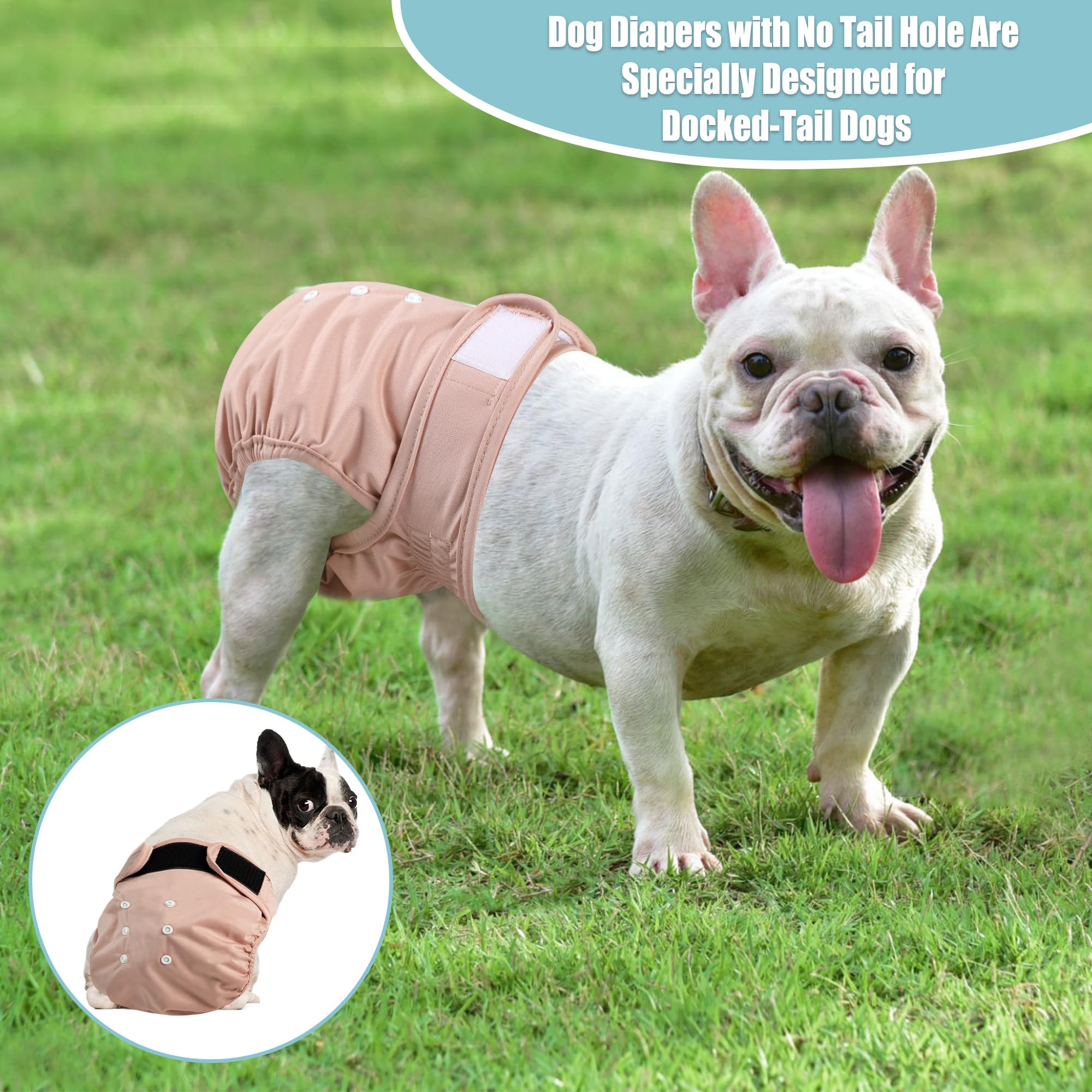 Wegreeco Frenchie Dog Diapers Female No Tail Hole,Washable Pet French Puppy Bulldog Diapers Female For Period Heat,Reusable Dogg