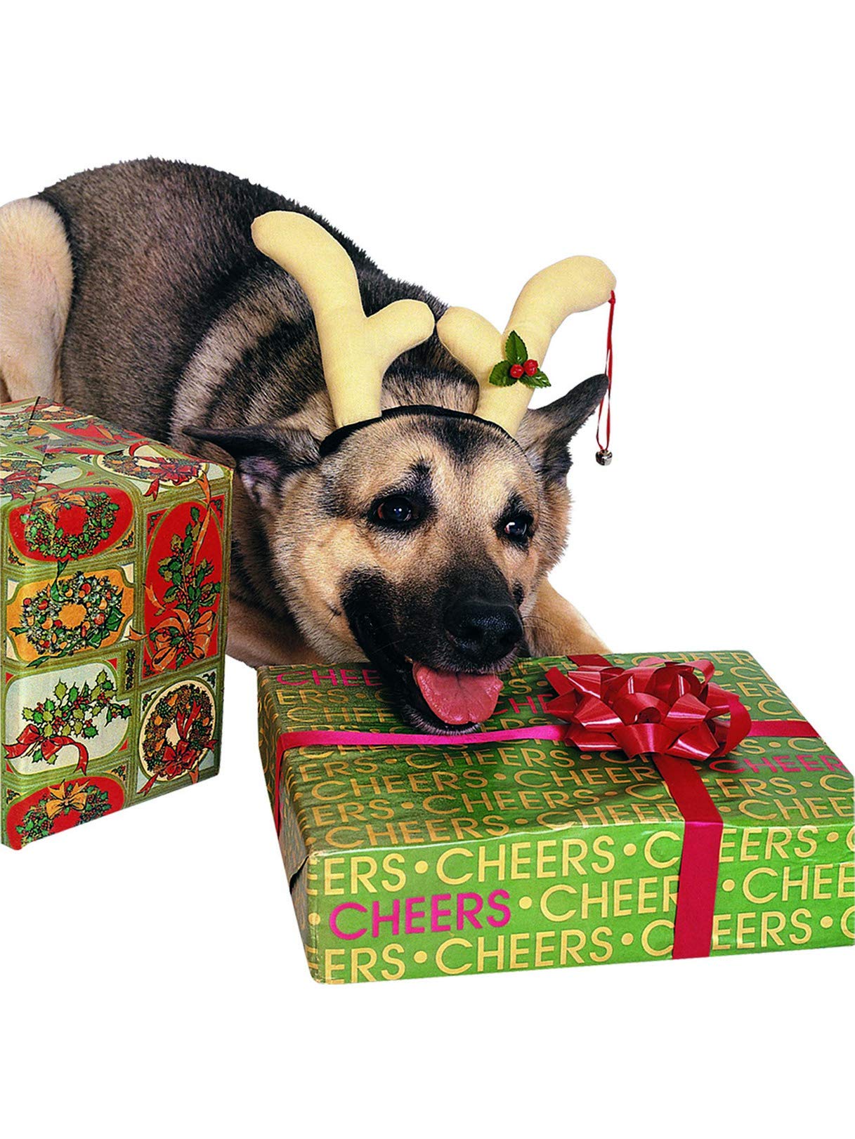 Rubie'S Costume Co Dogreindeerantlersaccessory