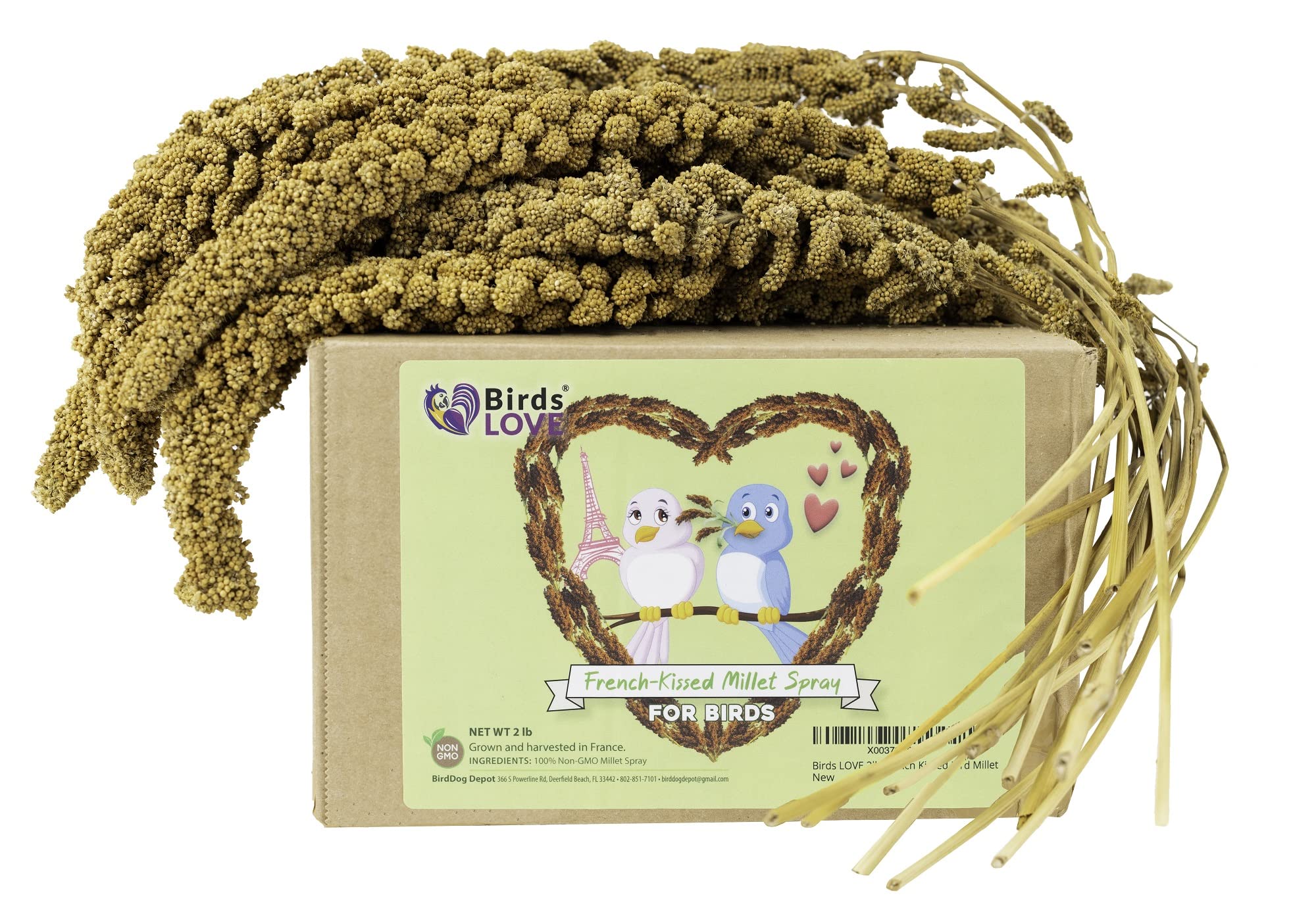 Birds LOVE French Kissed Non gMO 2 Pound Spray Millet