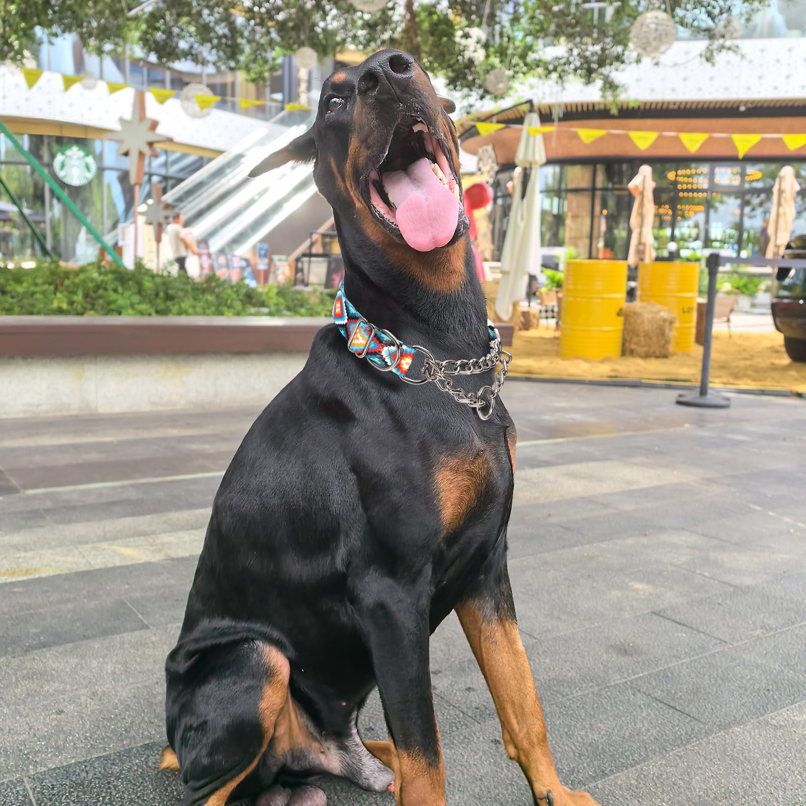Martingale Dog Collar With Chain, No Pull Slip Cinch Choker Choke Collar Western Boho Aztec Duty Dog Collar For Medium Large Ext