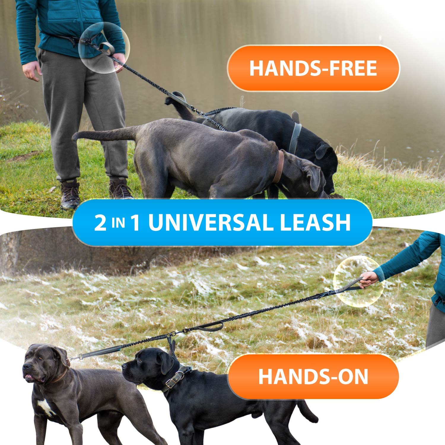 Sparklypets Hands Free Double Dog Leash - Dual Dog Leash For Medium And Large Dogs - Dog Leash For 2 Dogs With Padded Handles, Reflective Stitches, No Pull, Tangle Free Gray