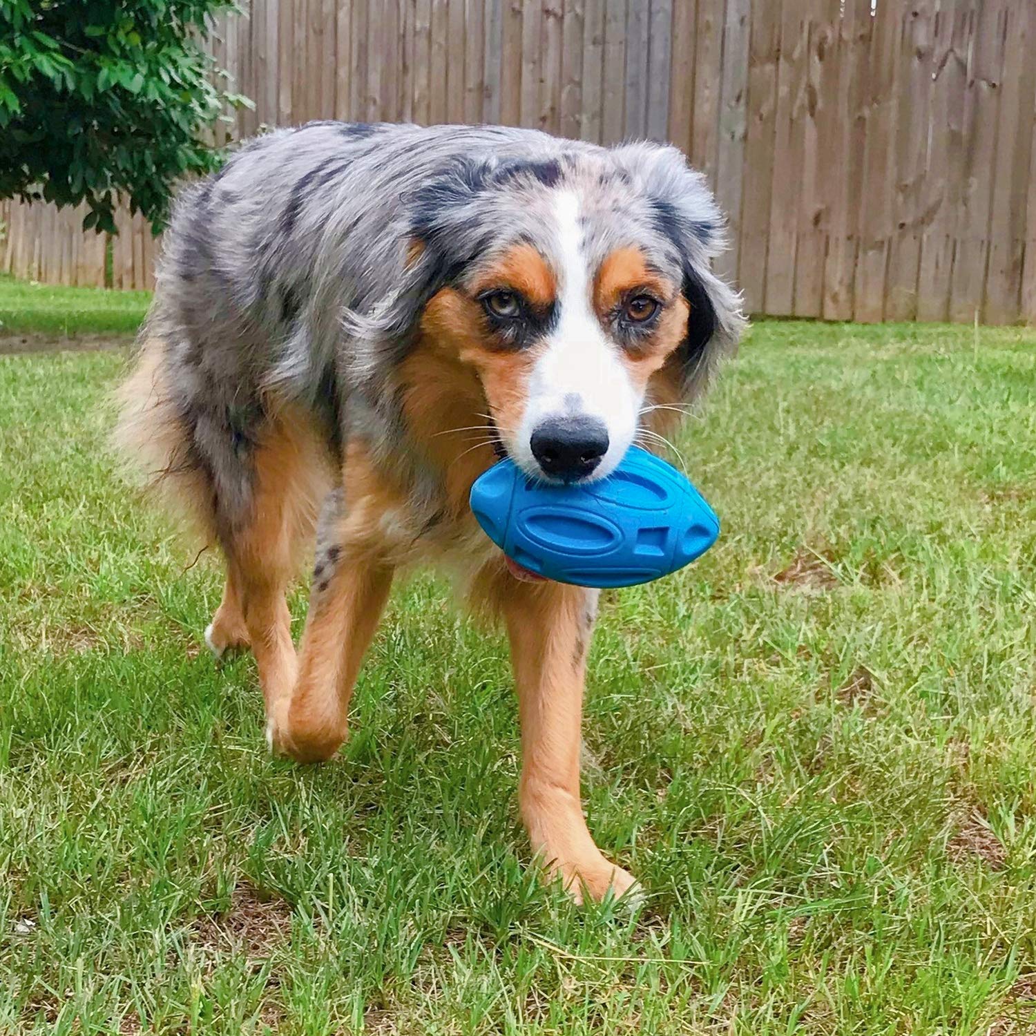 EASTBLUE Squeaky Dog Chew Ball - Indestructible Rubber Toy for Medium/Large Breeds - Blue