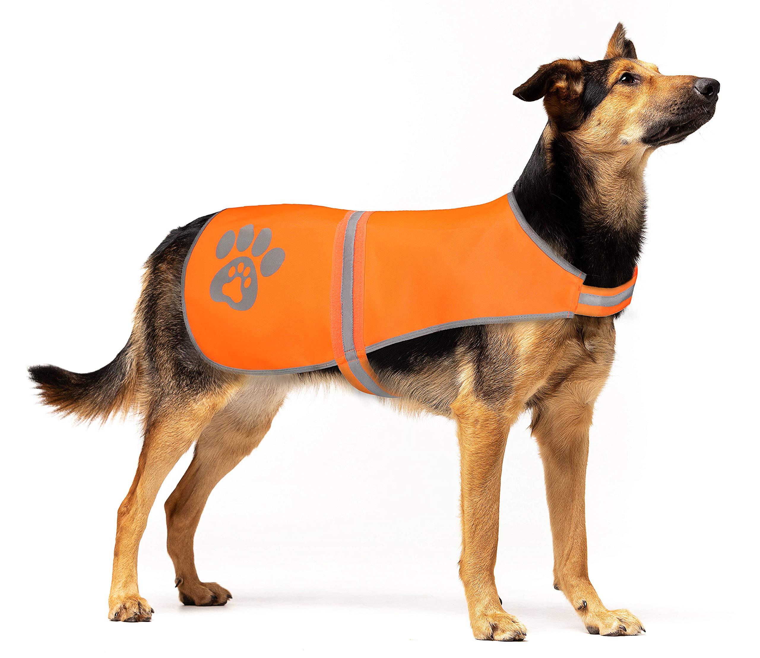 SPOFLY Reflective Safety Vest, High Visibility Keep Dogs Visible Outdoor Activity Day and Night, Hunting and Walking, Jacket for
