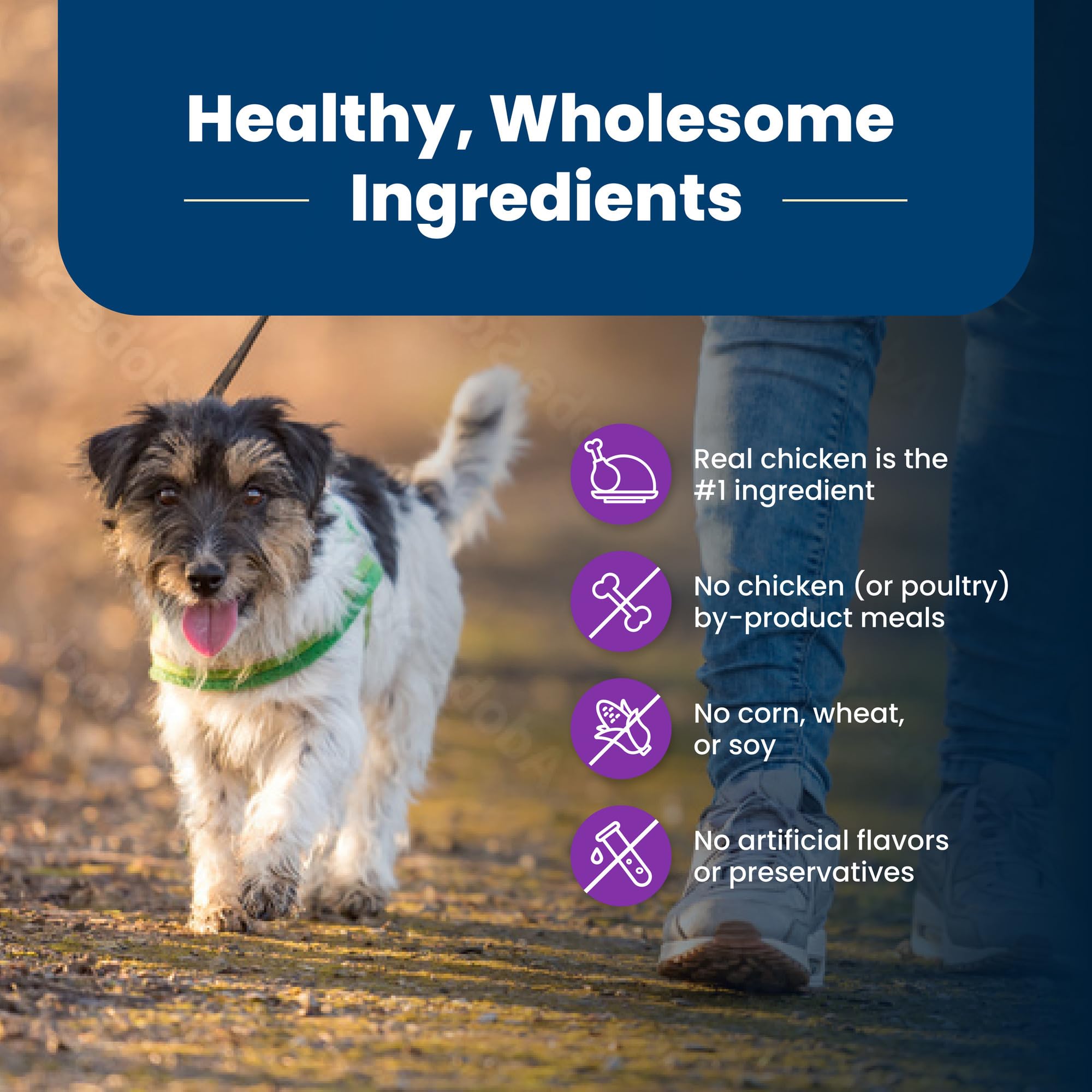 Blue Buffalo Life Protection Formula Toy Breed Adult Dry Dog Food, Supports High Energy Needs, Made with Natural Ingredients, Ch