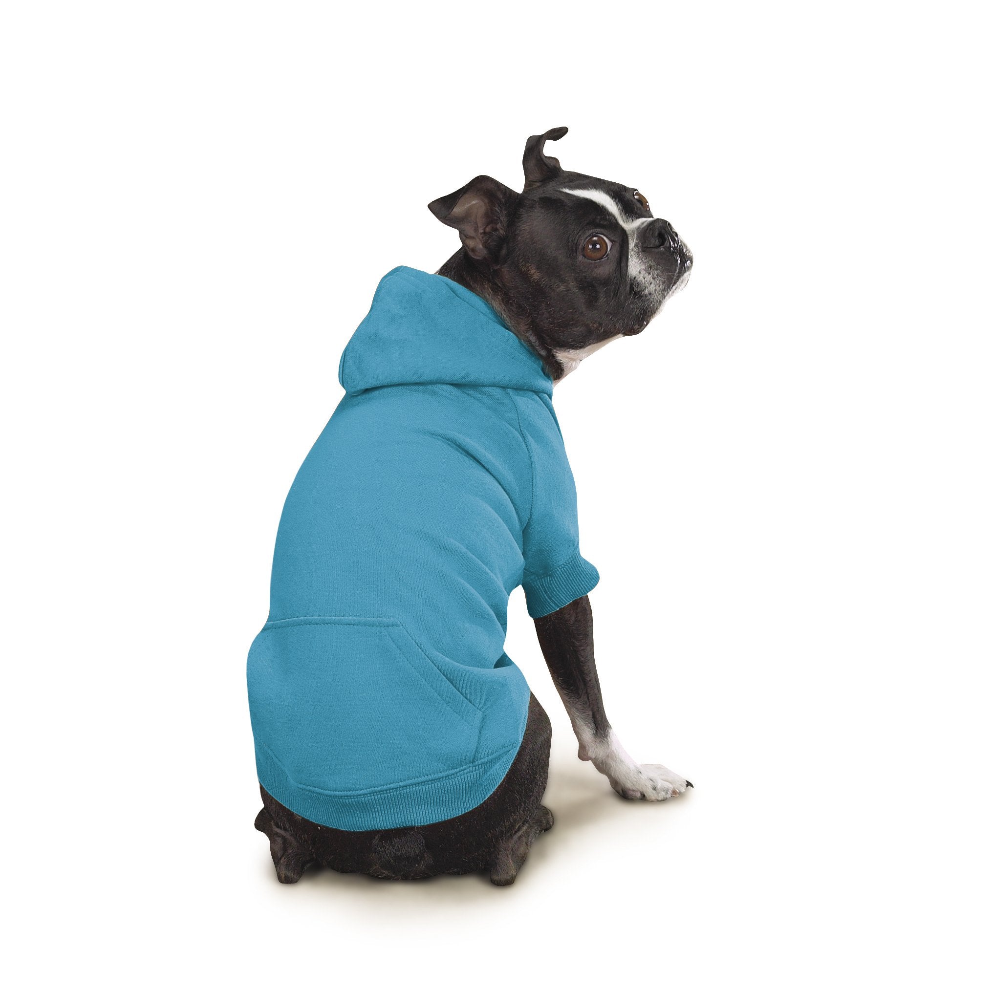 Zack & Zoey Basic Hoodie For Dogs, 16' Medium, Bluebird