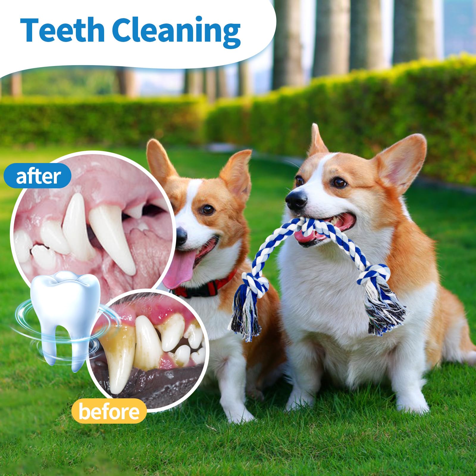 WDZZHOT [2 Pack] Dog Rope Toys, Dog Chew Toy for Medium and Small Dogs, 3 Knots Heavy Duty Puppy Rope Toy, 100% Cotton Tug of Wa