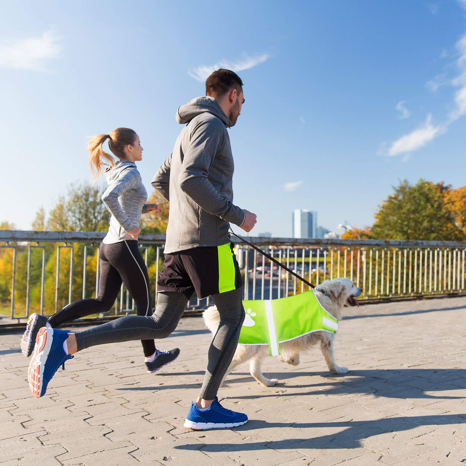 Geyoga 2 Pieces Dog Reflective Vest Adjustable Dog Safety Vest Pet Dog High Visibility Apparel For Outdoor Activities Walking Hunting (Orange, Fluorescent Yellow,L)