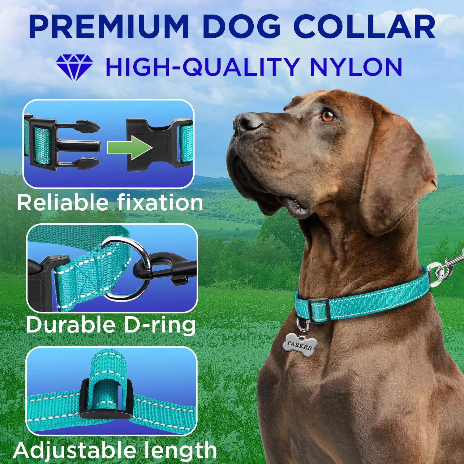 Teceum Reflective Dog Collar - Teal - S - Basic Nylon Pet Collar - Quick Release Buckle - Fits Small, Medium And Large Dogs, Pup