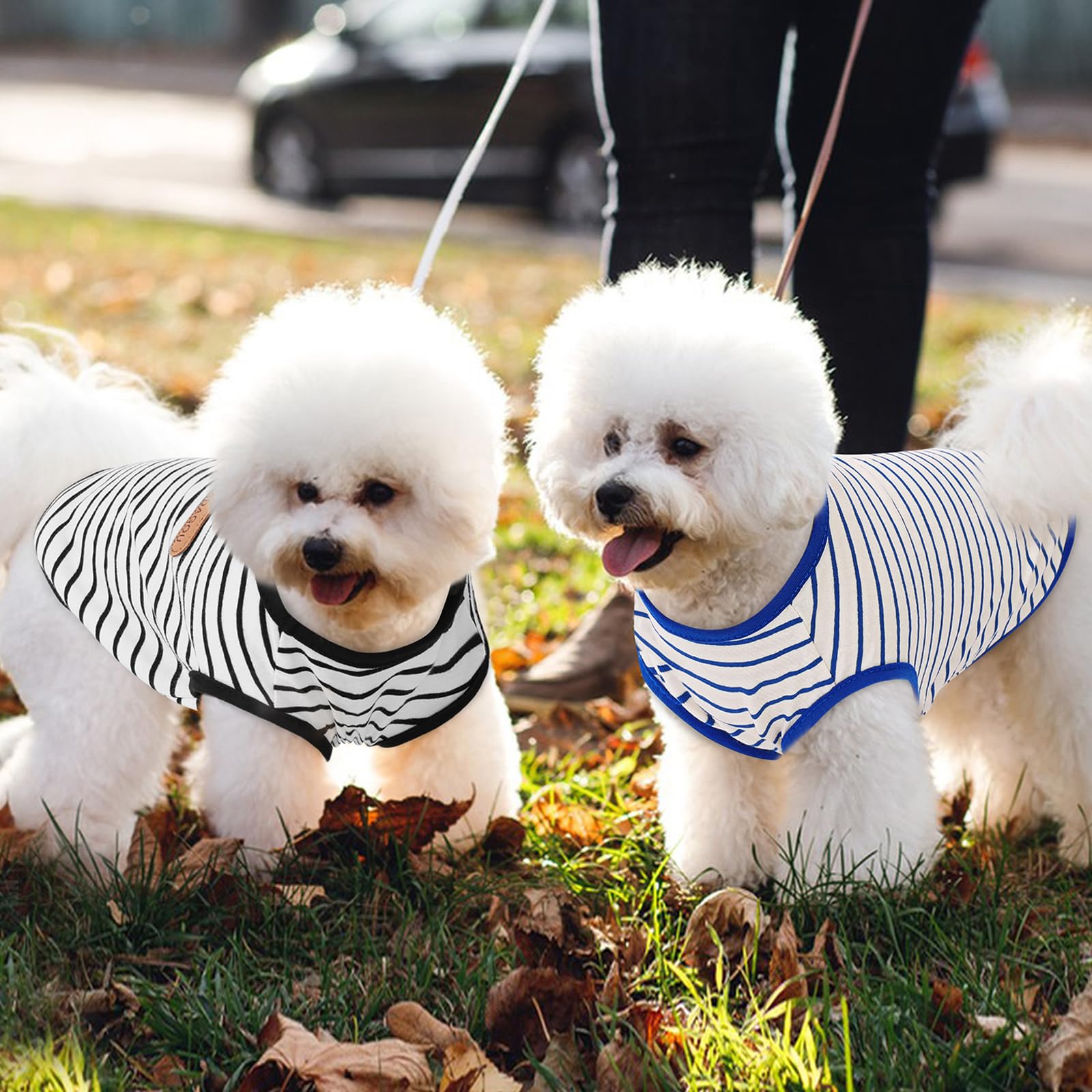 Preferhouse Large Dog Striped Vests 2 Pack, Blue Black, Polyester, Size Large (Chest: 18.5'')