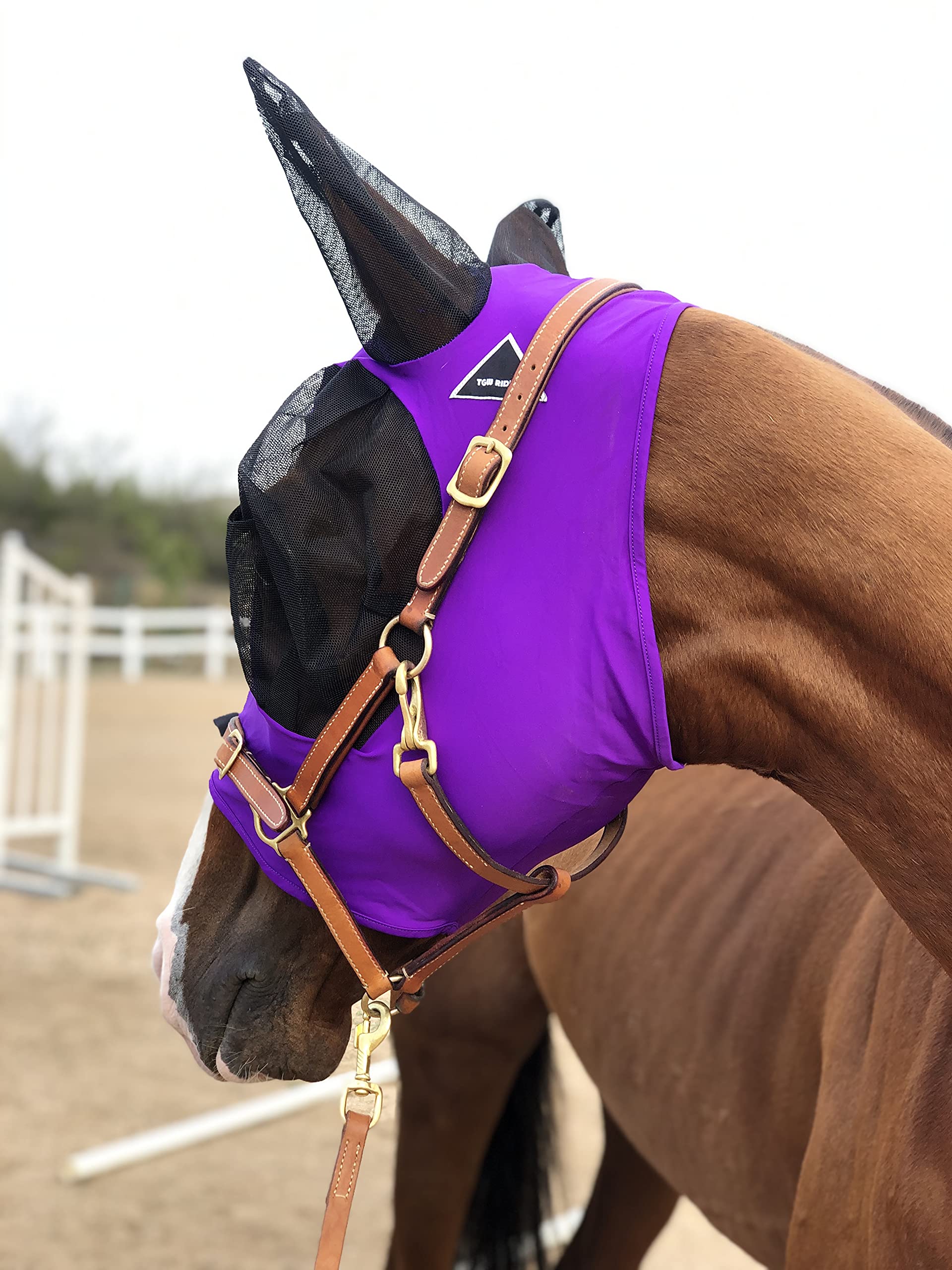 Horse Fly Mask Super Comfort Horse Fly Mask Elasticity Fly Mask with Ears We Only Make Products That Horses Like (Dk Purple, M)