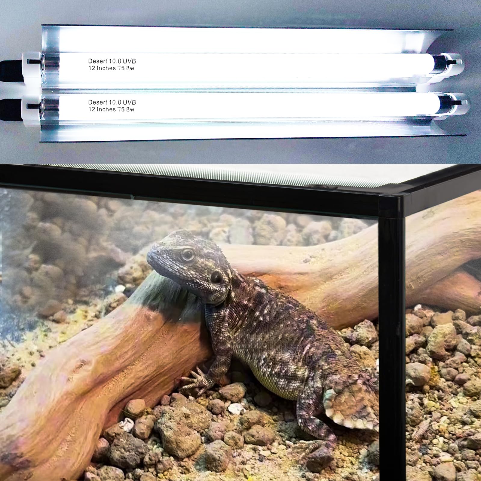 Celiwace T5 Reptile Light Fixture Combo Kit 16 Watts, 12 Inches T5 Uvb Reptile Light, T5 10.0 Uvb Reptile Light Fixture, Desert