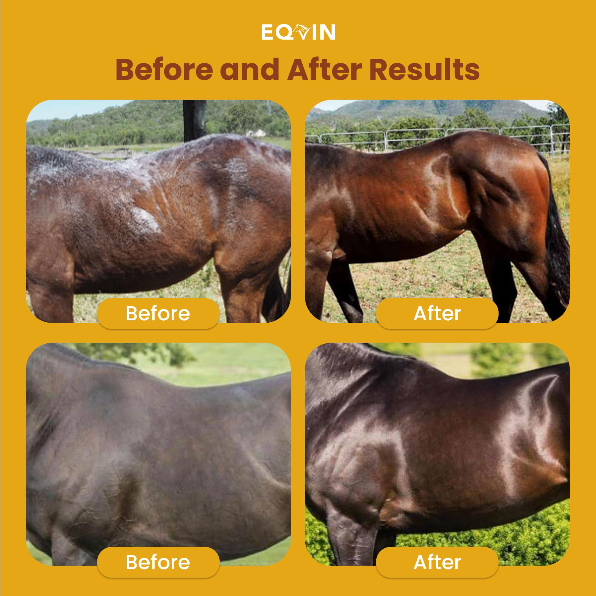 Eqvin Coat Care Powder For Horses | Made In Usa | Equine Skin Conditioner For Sweet Itch, Rain Rot & Skin Issues | Effective Dry