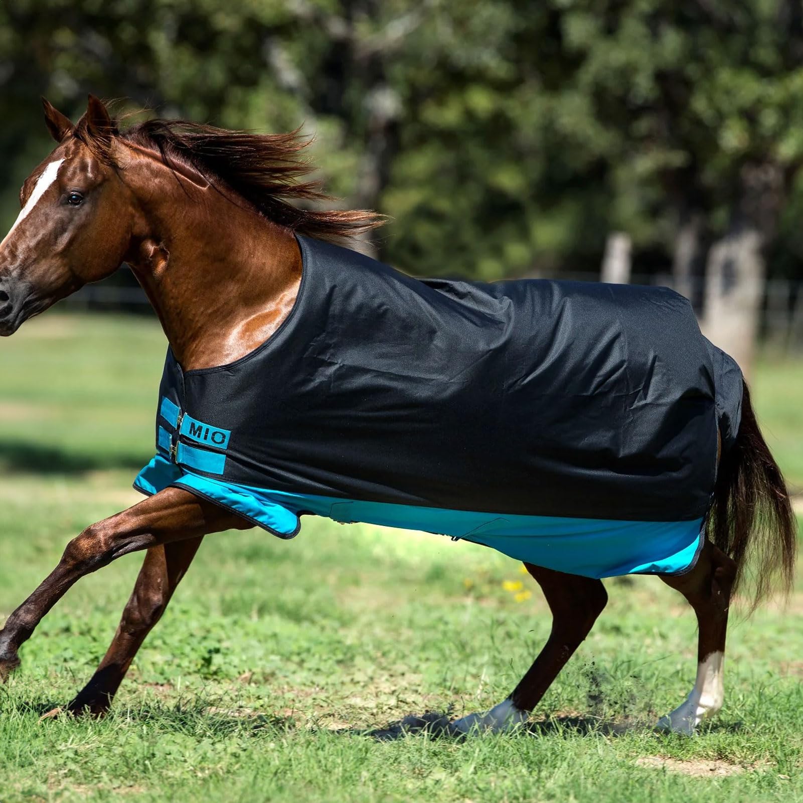 Horseware Ireland Mio T/O Lite, Color: Black/Turq & Black, Size: 57 (Aasa41-Kctk-57)