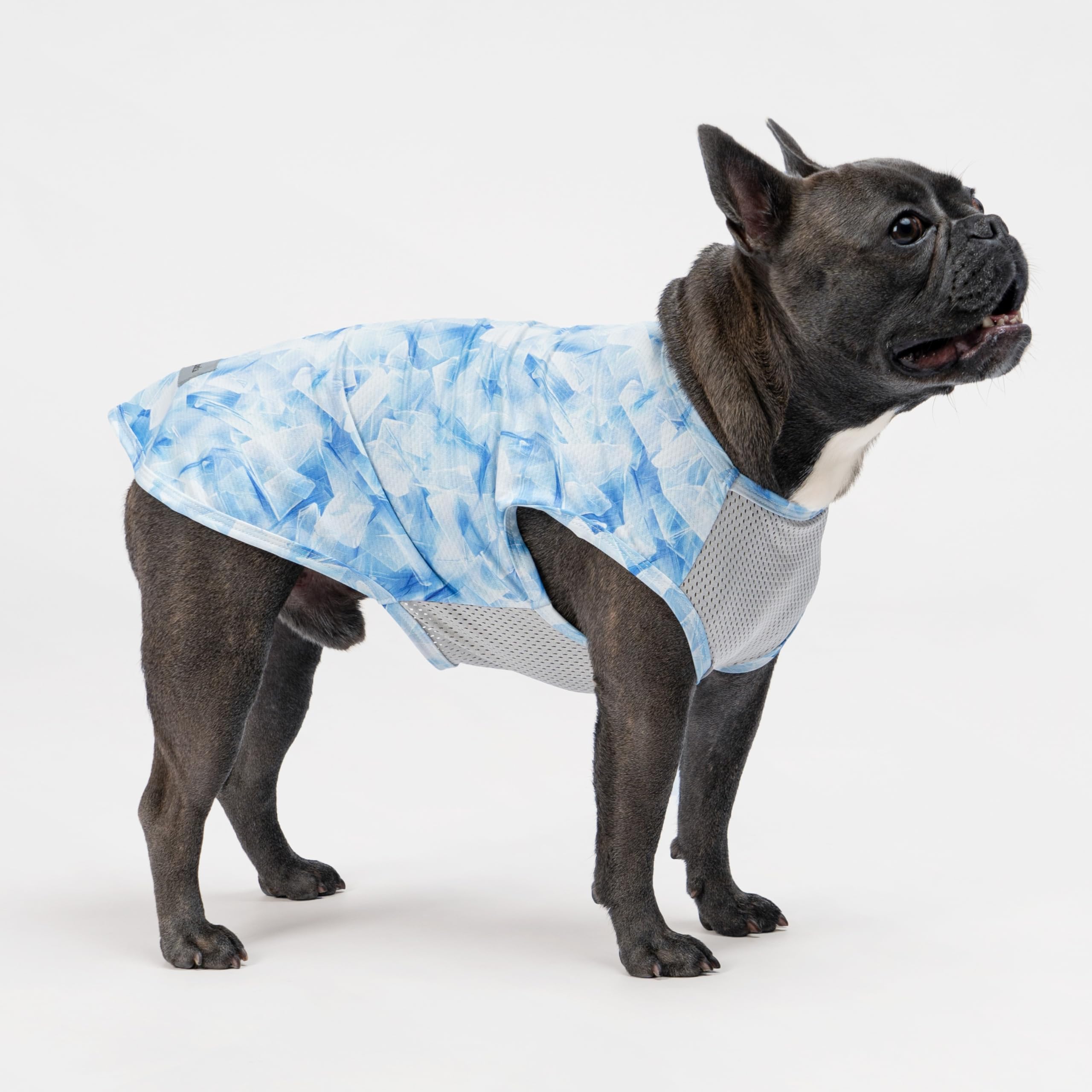 Fitwarm 2 Pack Ice Lemon Upf 50+ Uv Sun Protection Dog Shirt, Lightweight Dog Cooling Vest, Quick Dry Summer Clothes For Small D