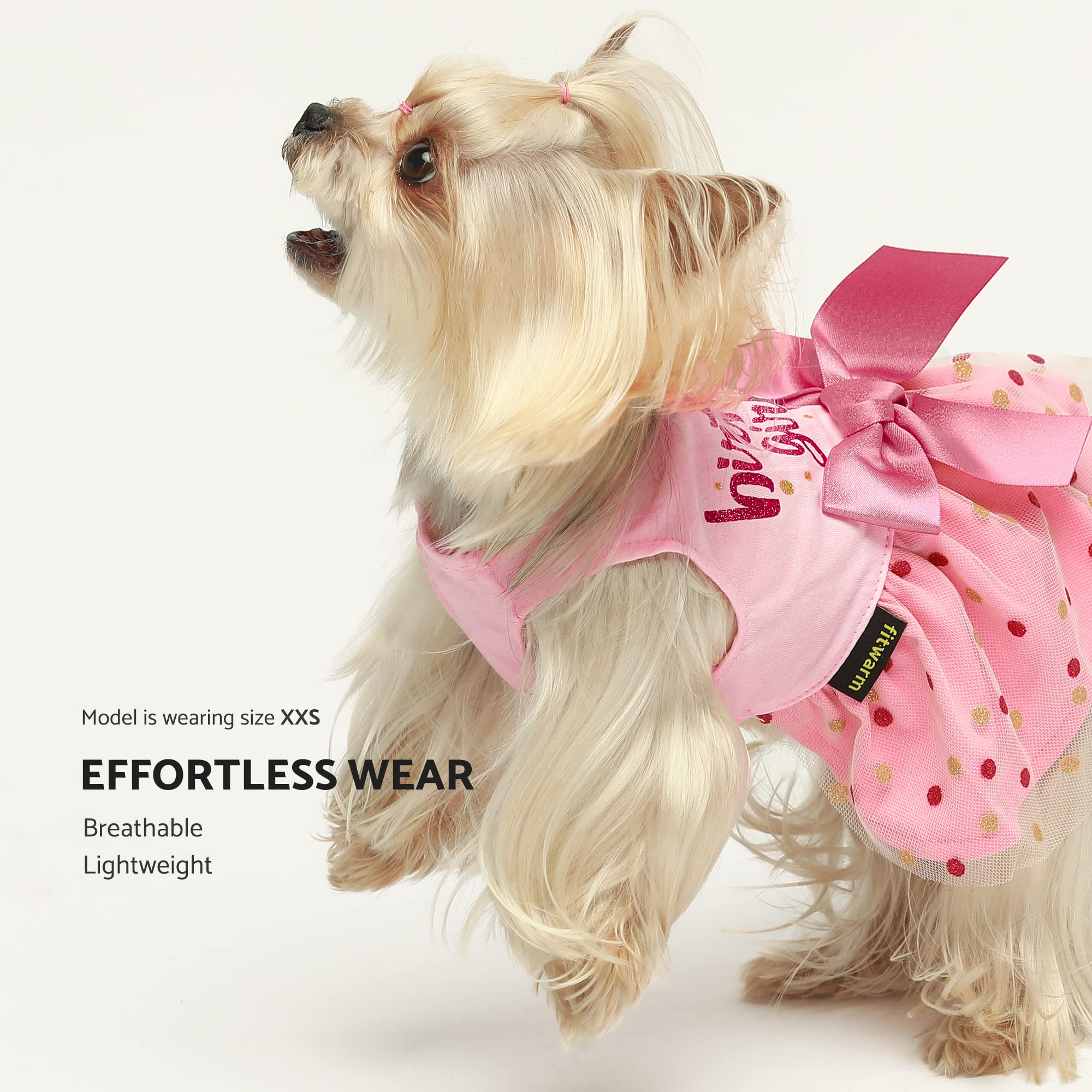 Fitwarm Birthday Girl Dog Tulle Dress, Large, Pink - Cute Apparel for Small Dogs and Cats, Fwbirthadytulledress_L_B0092