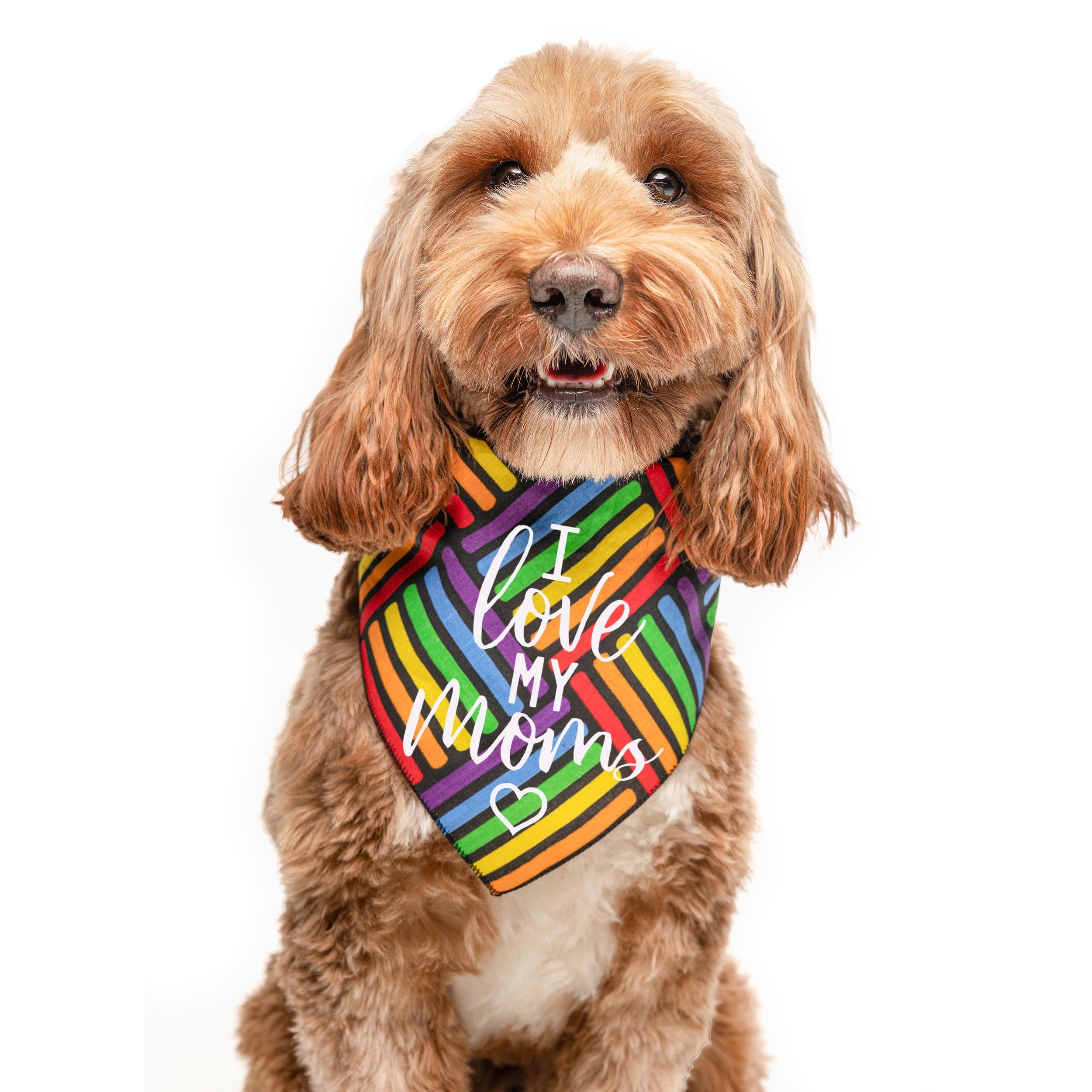 I Love My Moms (Two) Mother'S Day Dog Bandana | 100% Cotton Adjustable Triangle | Made In Usa | Pride Day | Lgbtq+ | Rainbow | P