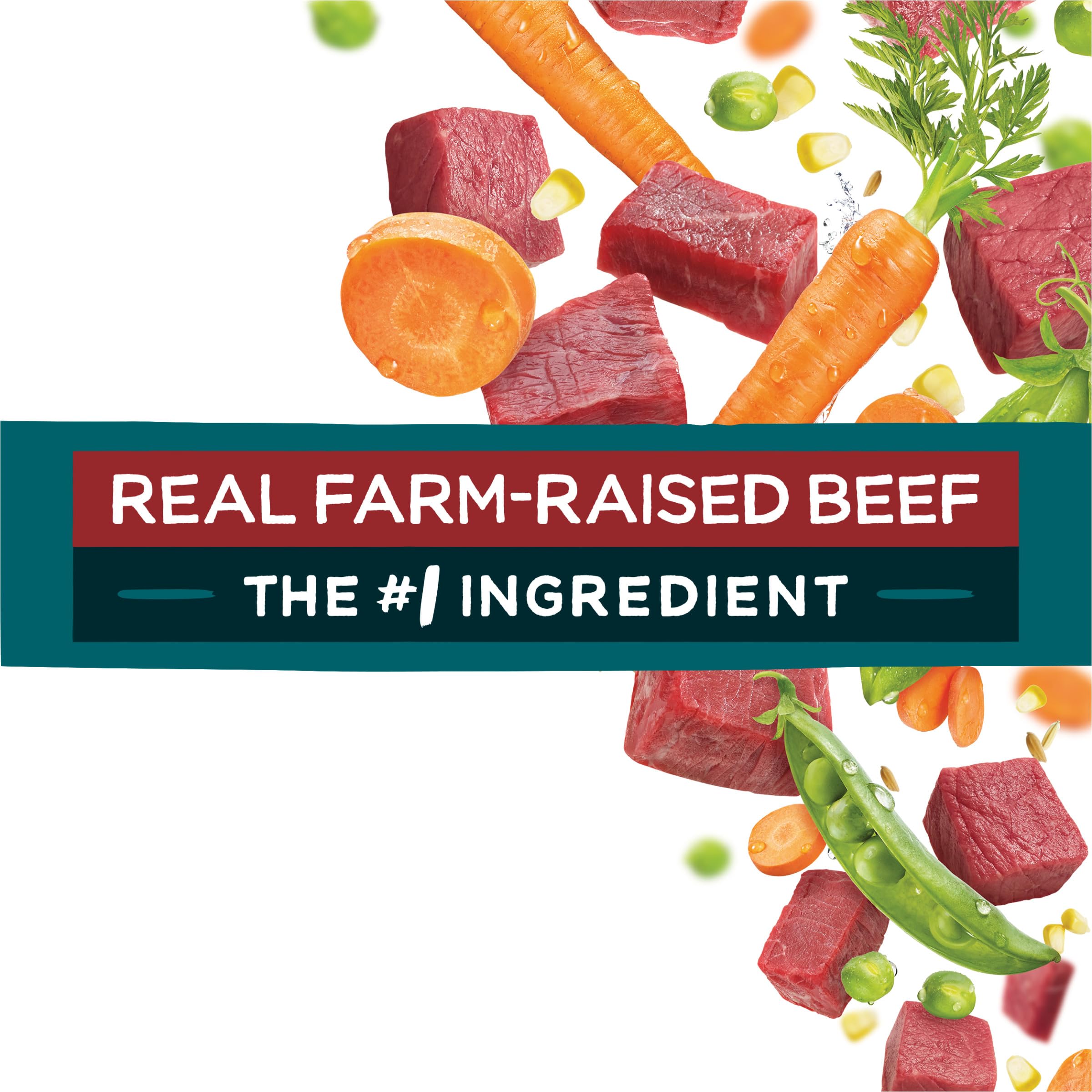 Purina Beneful Incredibites With Farm-Raised Beef Natural Small Breed Dry Dog Food With Added Vitamins, Minerals and Nutrients -