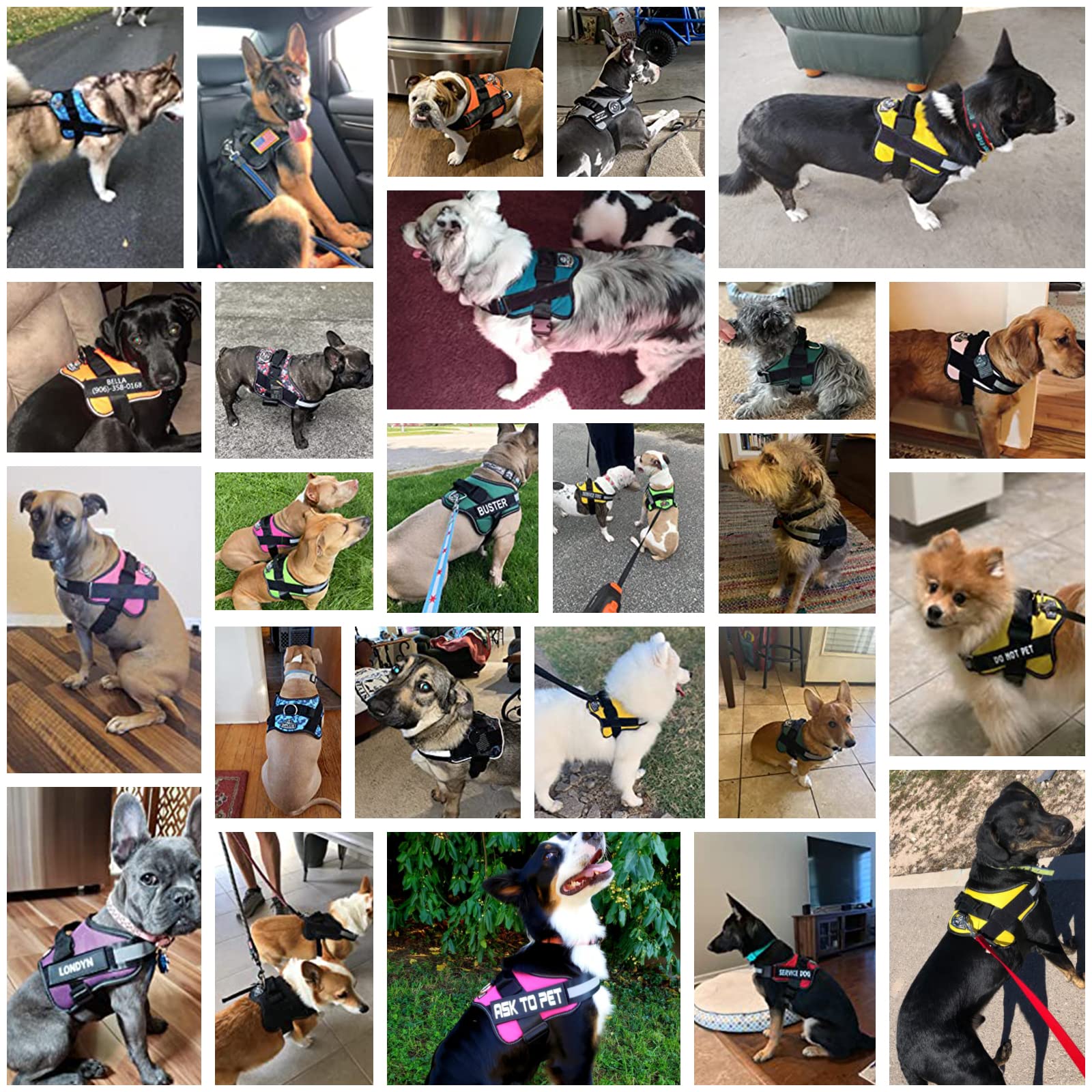 Bolux Dog Harness, No-Pull Reflective Dog Vest, Breathable Adjustable Pet Harness With Handle For Outdoor Walking - No More Pulling, Tugging Or Choking (Purple, M)