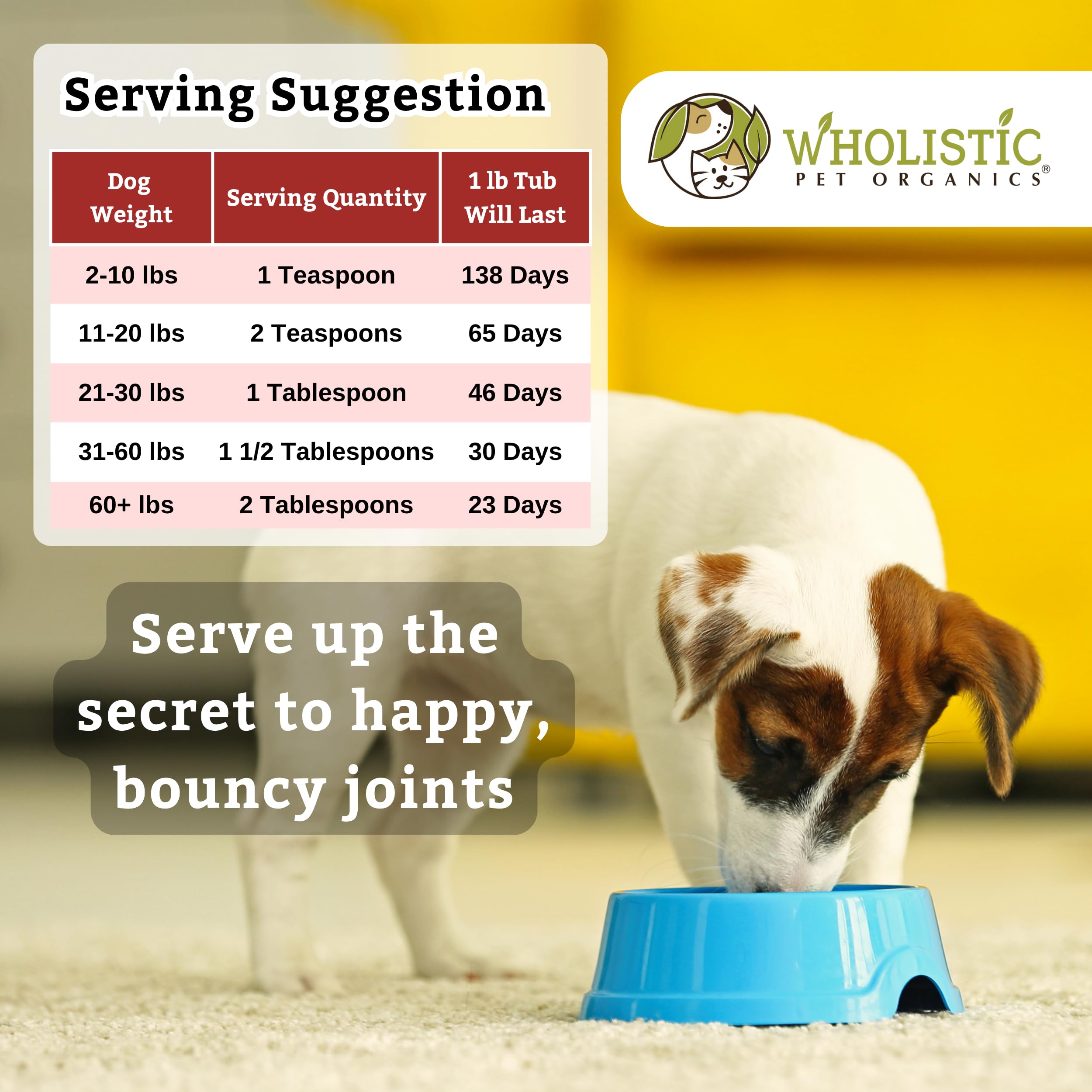 Wholistic Pet Organics Joint Mobility GLM - 1 Lb - Hip and Joint Supplement for Dogs - Glucosamine for Dogs - Chondroitin Supple
