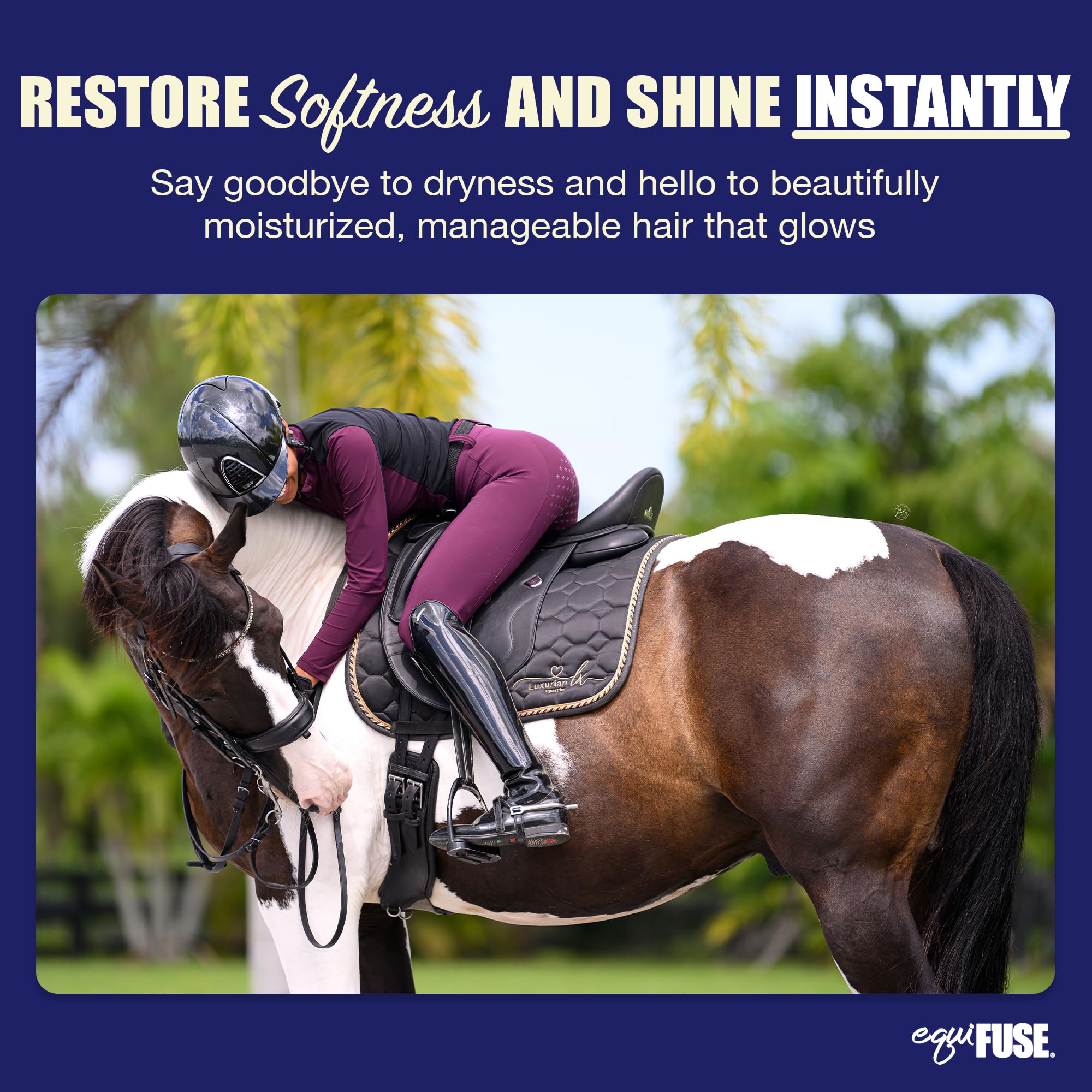 Equifuse Citracreme Deep Conditioner + Rehydrant For Horses | Improves Hair And Enhances The Look, Feel And Manageability Of Manes And Tails | 16Oz