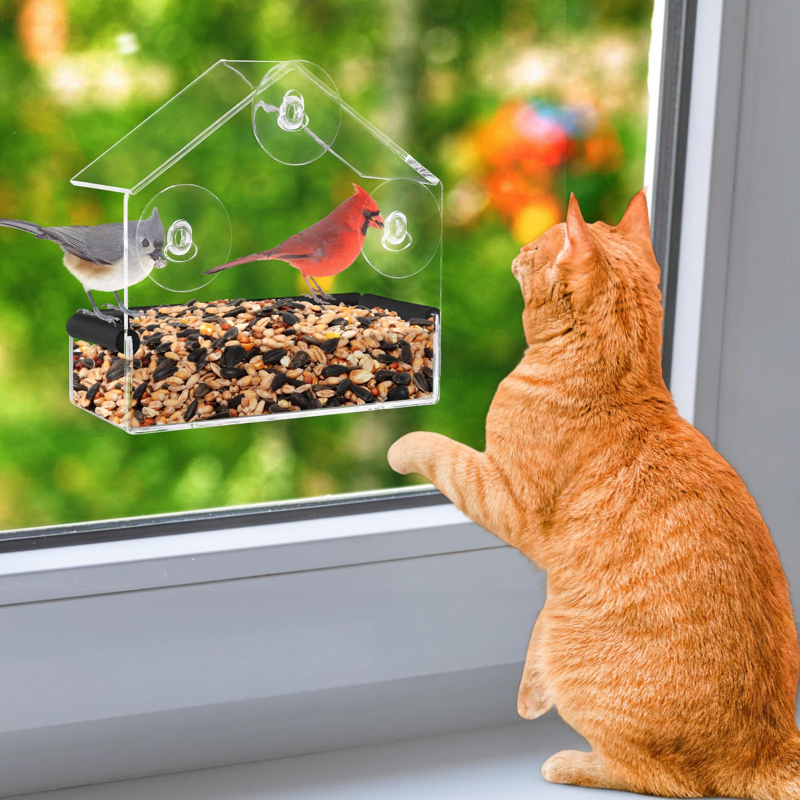 Outdoor Window Bird Feeder for Cats Viewing - Clear Bird Feeder with Strong Suction Cup, Cat Perch Accessories for Entertaining 
