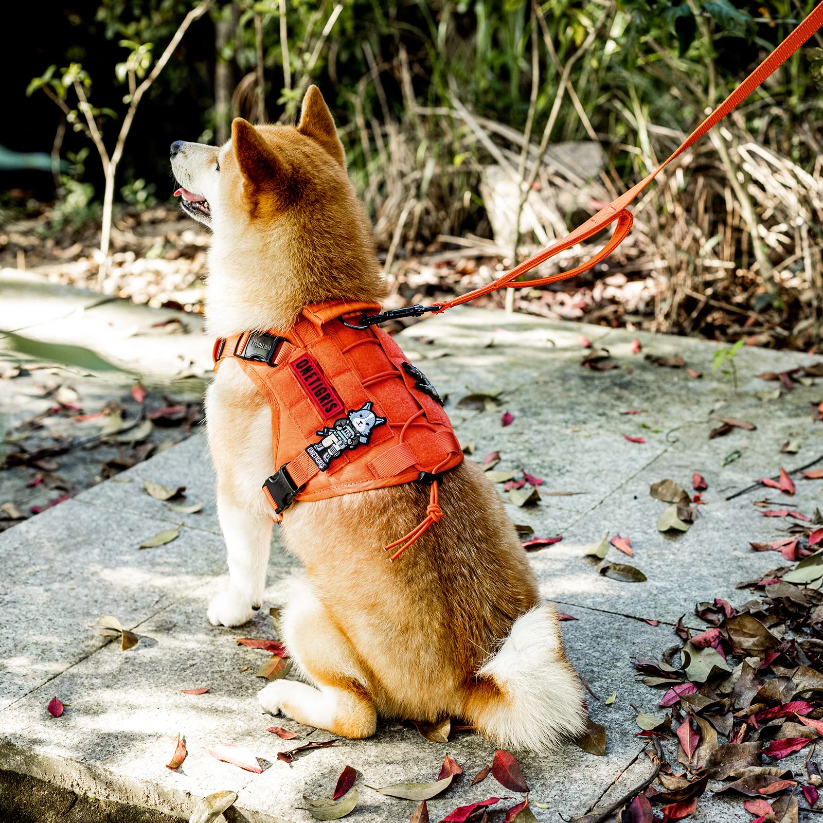 Onetigris Handled No-Pull Dog Walking Leash Long Traffic Leads For Medium To Large Dogs (Orange, 6Ft)