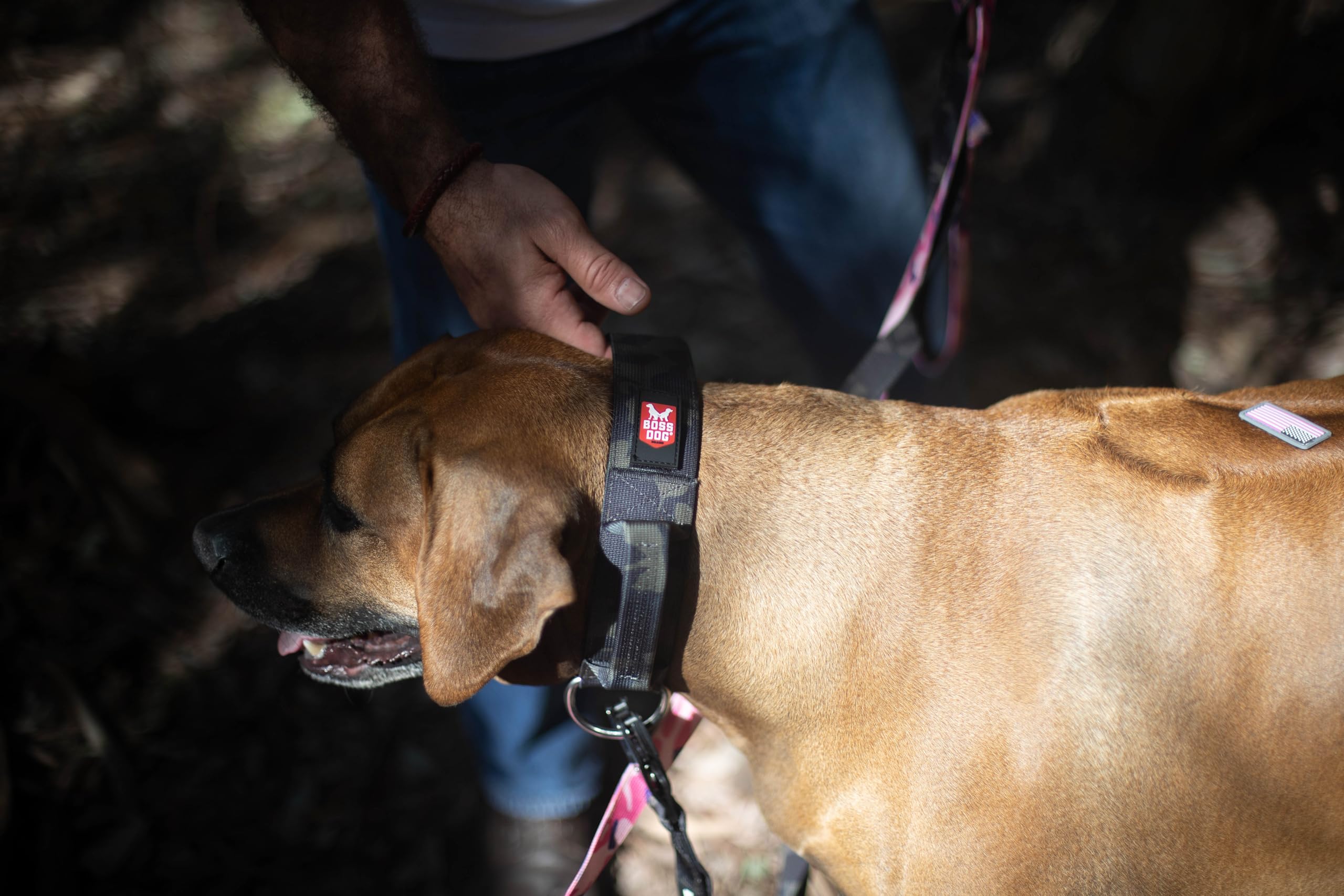 Boss Dog Tactical Collar, Black Camo, Medium