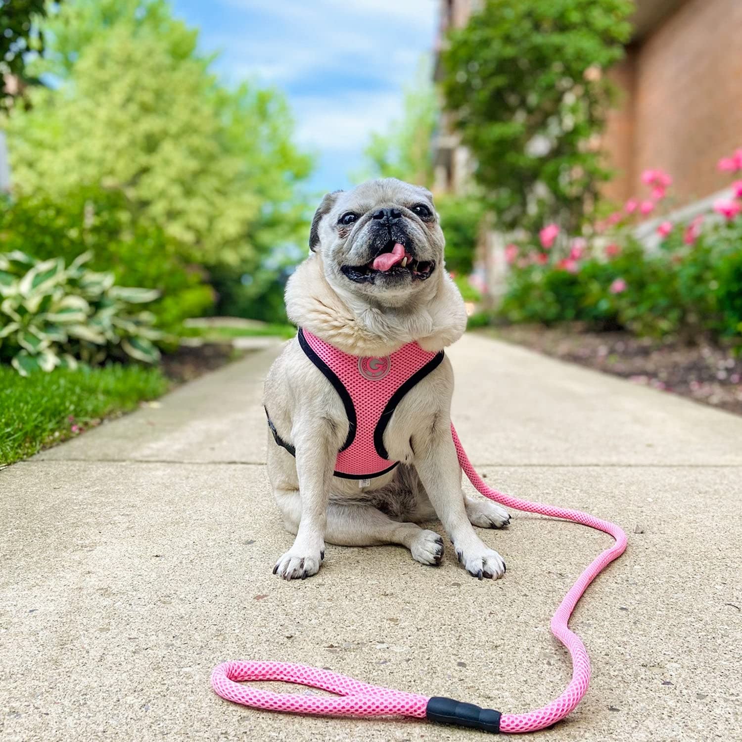 Gooby Mesh Leash for Small Dogs - 4 FT Breathable Polyester - Pink - Model 10017-PNK-ONE
