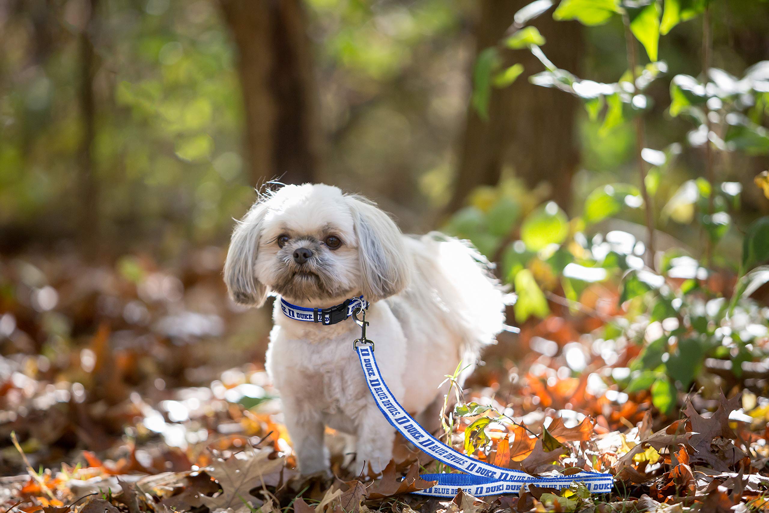 Ncaa Pet Leash, Large, Duke Blue Devils, Dog Leash, Shiny & Colorful Leash For Dogs & Cats Licensed By The Ncaa