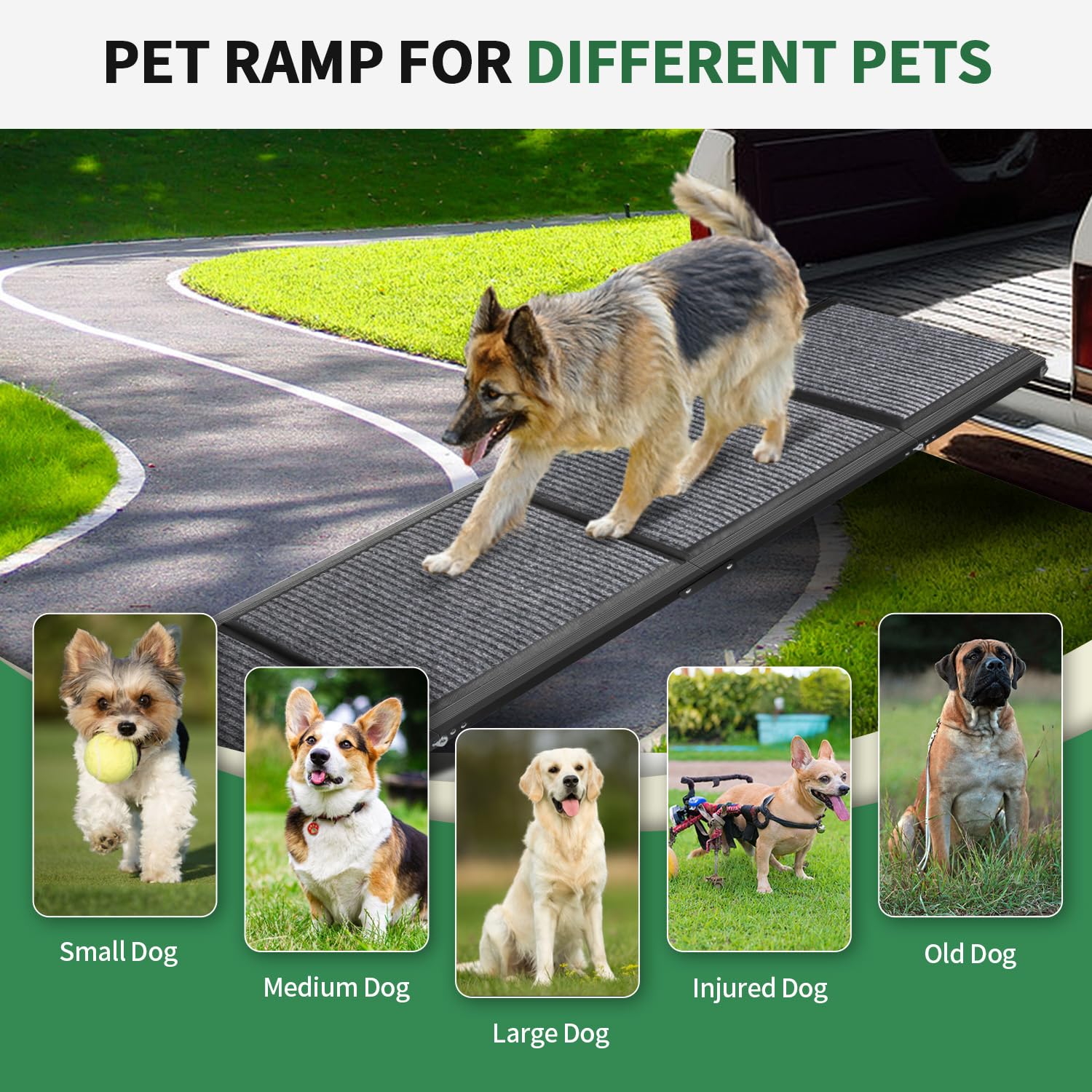 Dog Ramp for Car, Longest 71 Portable Folding Pet Ramp with Extra Pet Blanket, Car Ramp with Non-Slip Rug Surface, Gentler Dog S