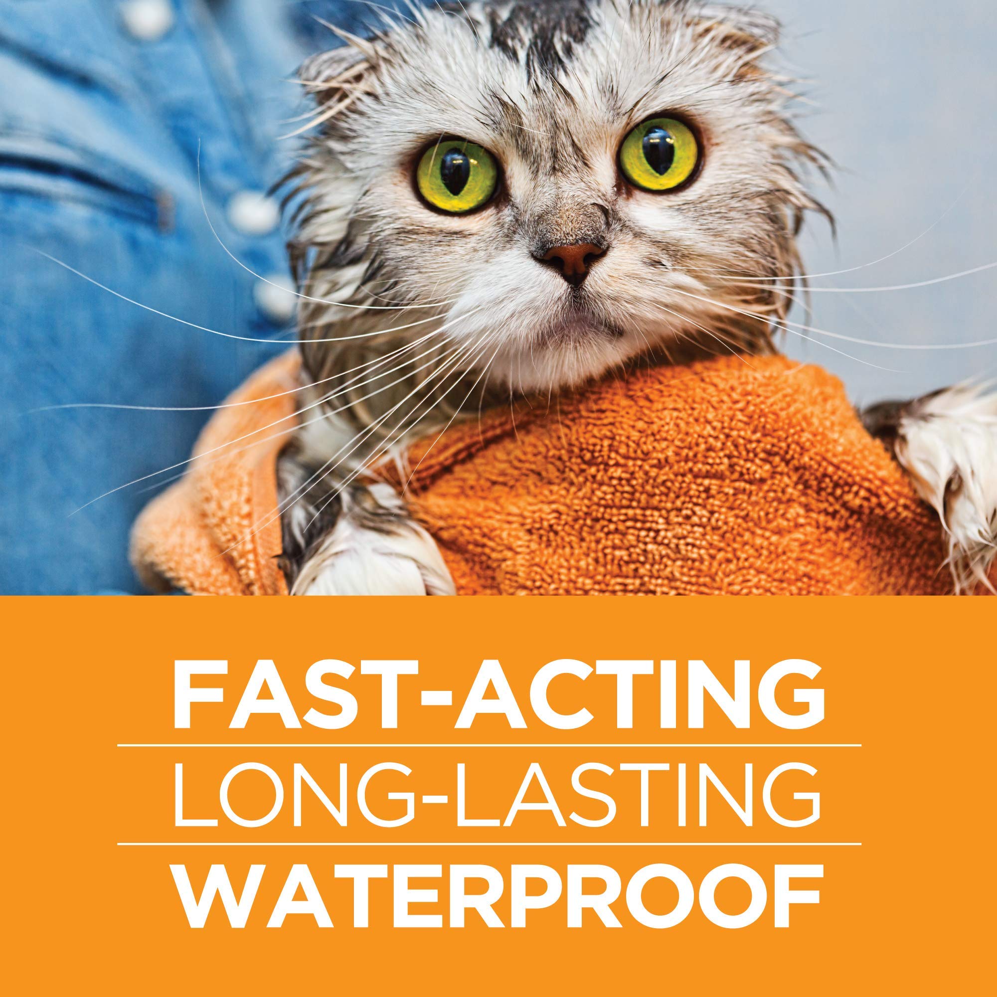 Tevrapet Actispot Ii Flea Treatment For Large Cats 9+ Lbs  6 Doses  Powerful Prevention And Control