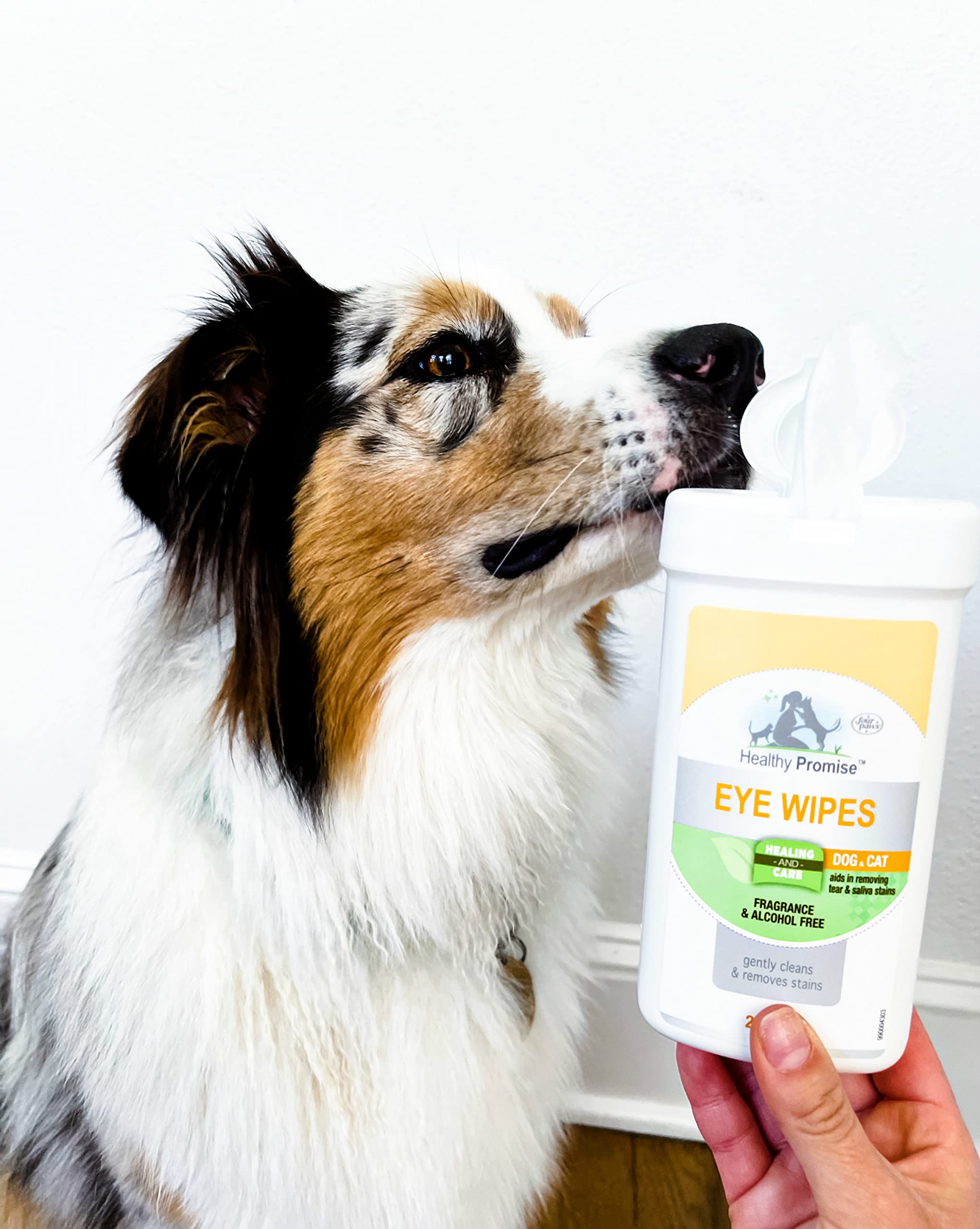 Four Paws Healthy Promise Pet Eye Wipes For Dogs And Cats 25 Count