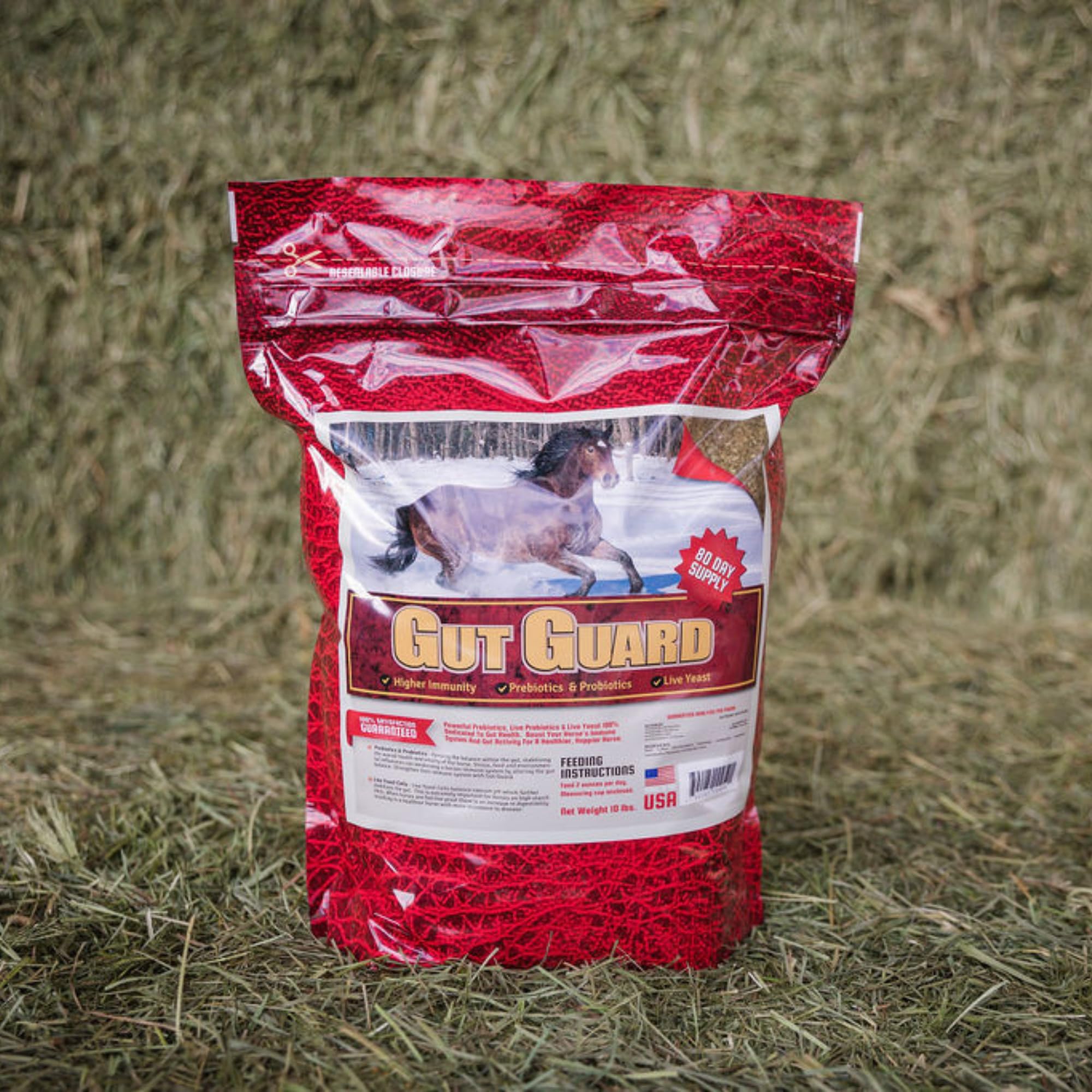 Equine Gut Guard 10 lb, Probiotic and Prebiotic Horse Supplement for Gut Health