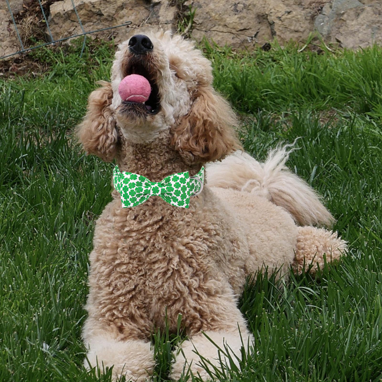 Unique Style Paws St. Patrick'S Dog Collar With Bow Green Clover Cotton Puppy Collars Wedding Navigation For Small Medium Large