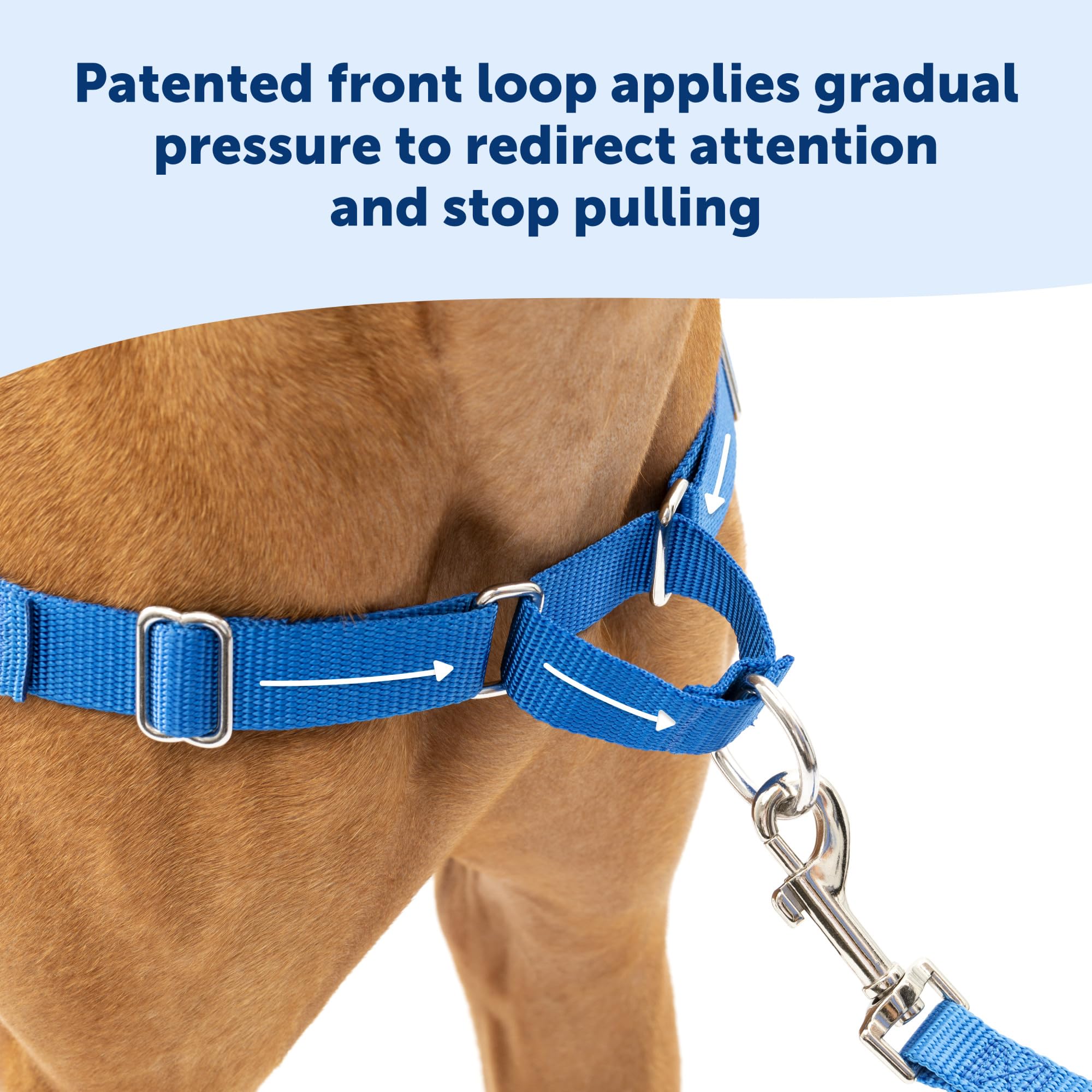 Petsafe Easy Walk Dog Harness - No Pull Dog Harness - Small, Teal