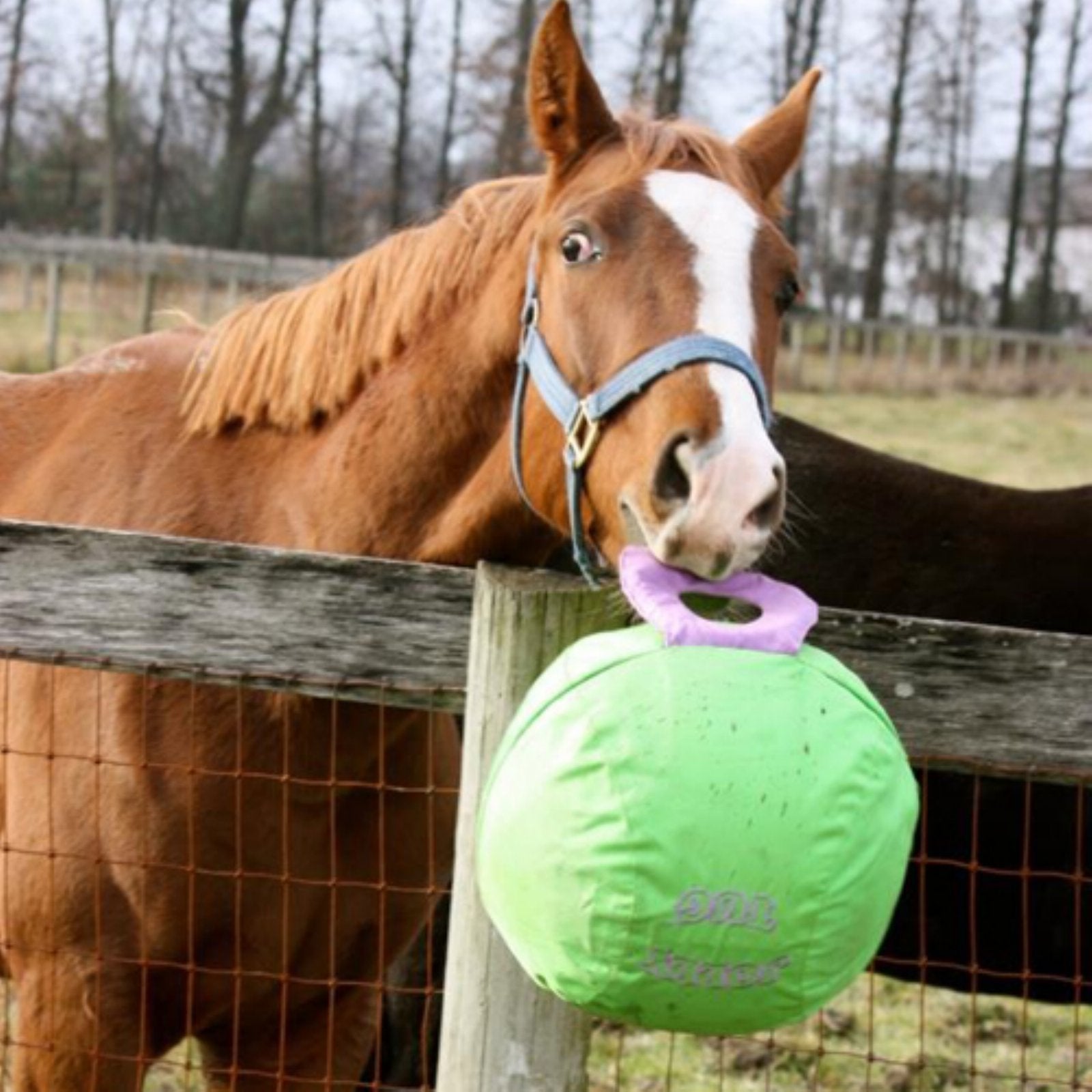 Horsemen'S Pride 14'' Jolly Tug Horse Toy, Blue (Jt14 B),All Breed Sizes