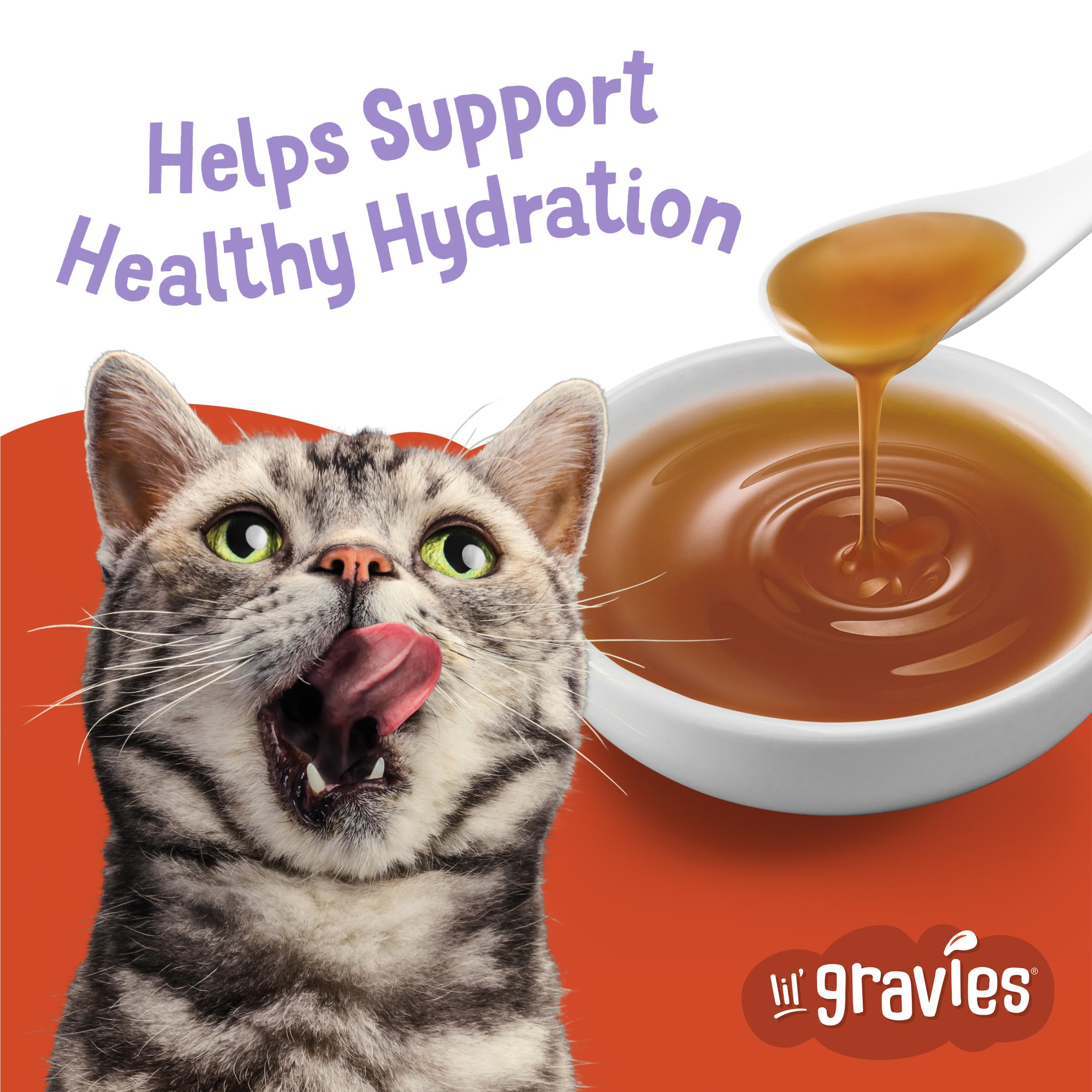 Friskies Lil' Gravies Roasted Turkey Flavor Cat Treats, 1.55 oz Pouches, Pack of 16