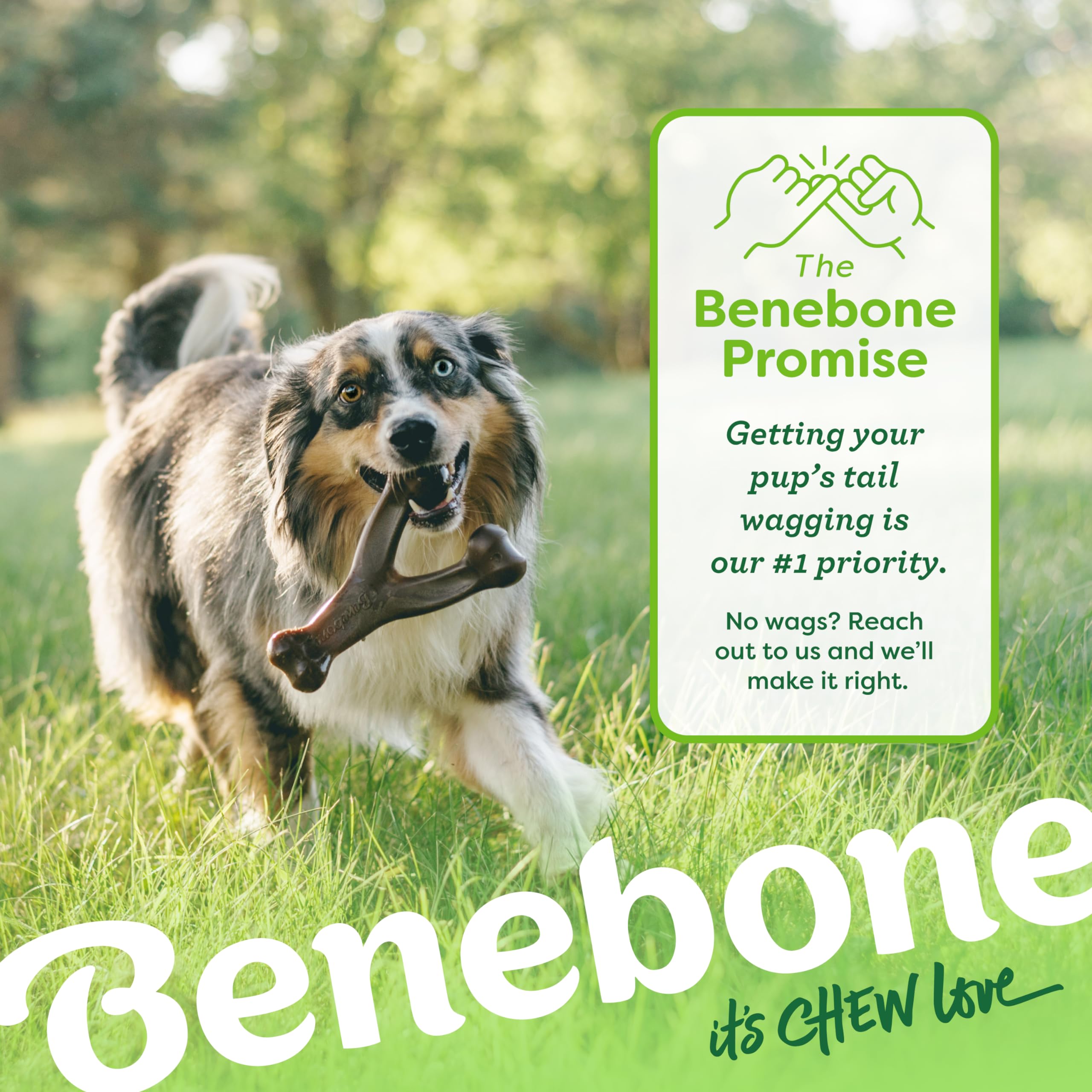Small 3-Pack, Benebone Wishbone Durable Dog Chew Toy for Aggressive Chewers, Real Bacon, Chicken, Peanut Butter, Made in USA, Va
