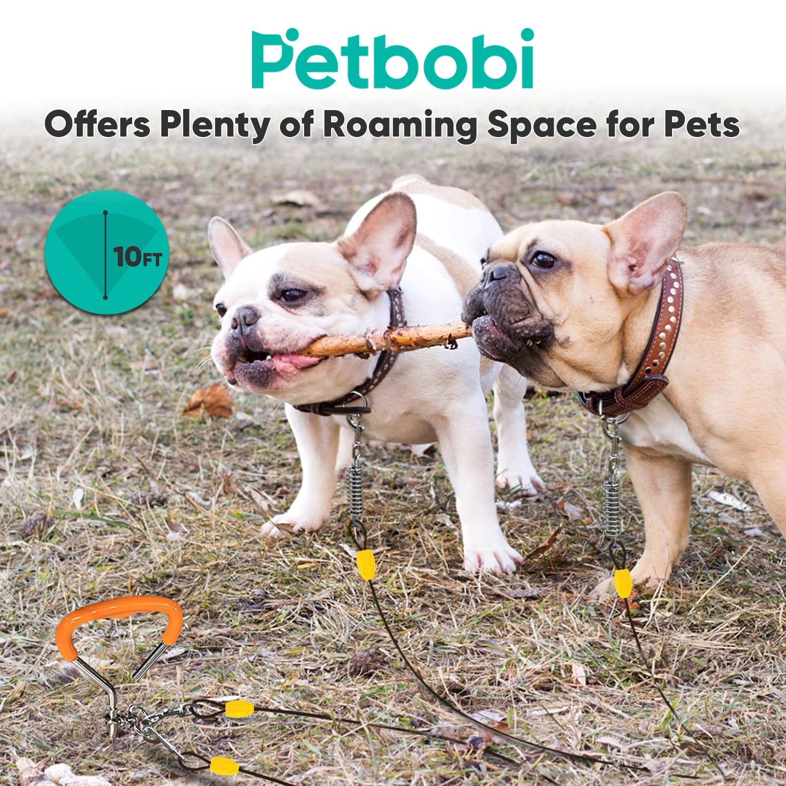 Petbobi Dog Tie-Out Cable And Stake - 10Ft Heavy Duty Cable With Spring, No Tangle, 16In Ground Stake, Ideal For Yard, Camping A