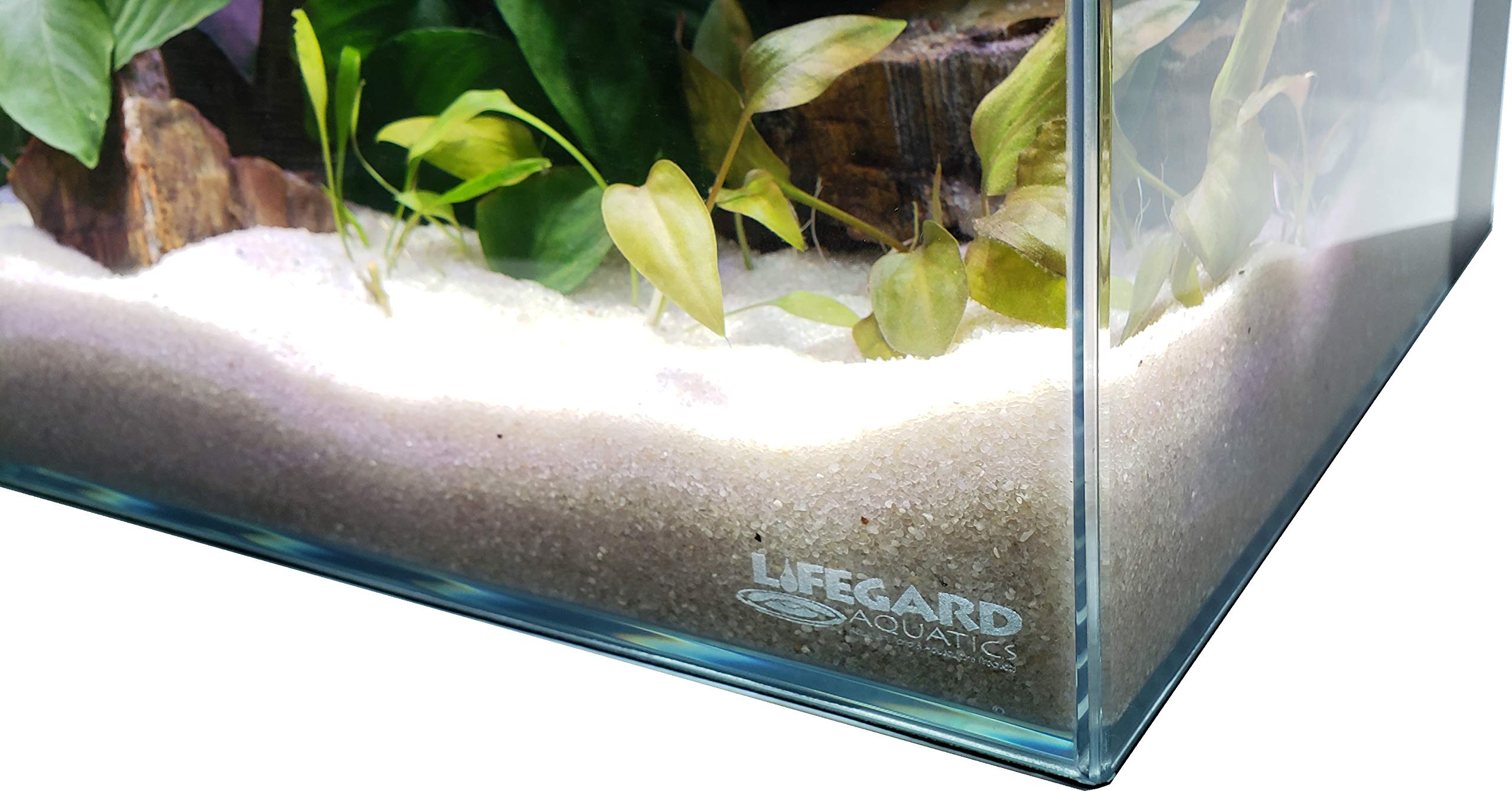 Lifegard Low Iron Ultra Clear Crystal Aquarium Tank – Rimless Glass, Beveled Edge, Rectangular Style – 5.44 Gph