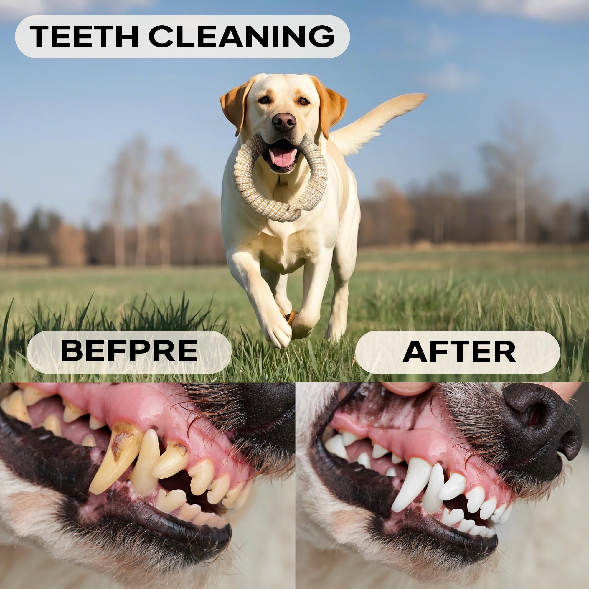 Petifine Dog Rope Toys For Large Medium Dogs, 4 Pack Tough Chew Toys For Aggressive Chewers, Interactive Rope Ball Natural Cotto