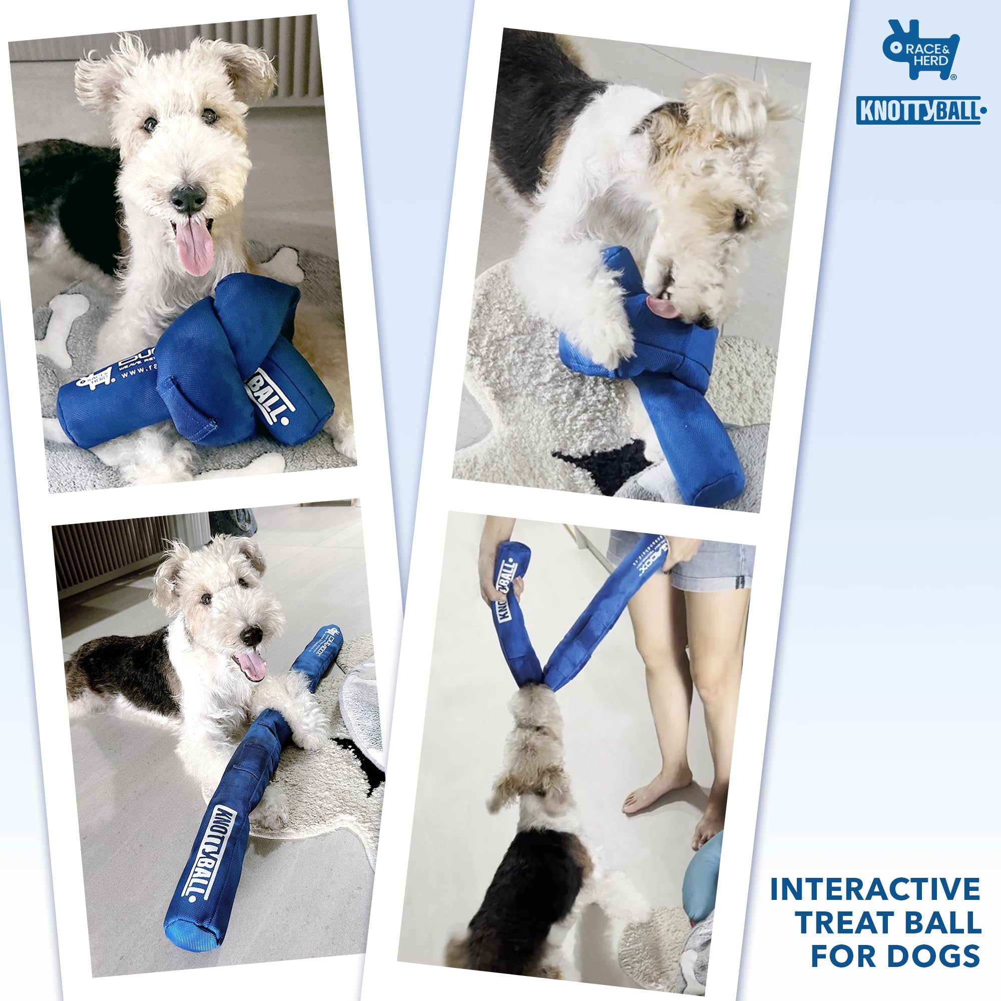 Race&Herd | Knottyball Dog Toys Interactive | Snuffle Ball | Sniffle Ball And Puzzle Toy For Any Size Dogs | Encourage Natural F