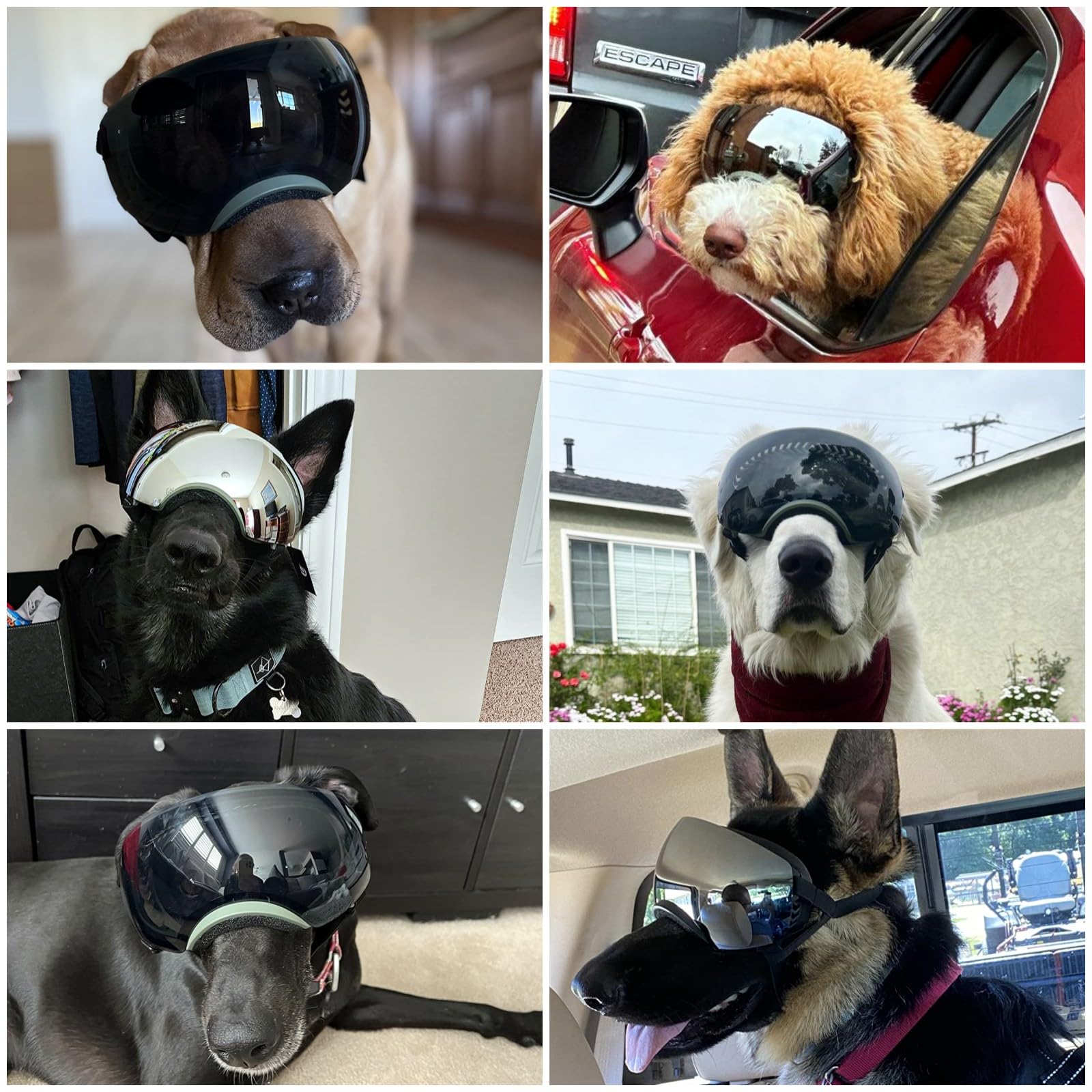 Enjoying Dog Goggles Large Breed With Replaceable Lenses, Silver/Black, Interchangeable Sunglasses For Dogs Medium Large Breed,