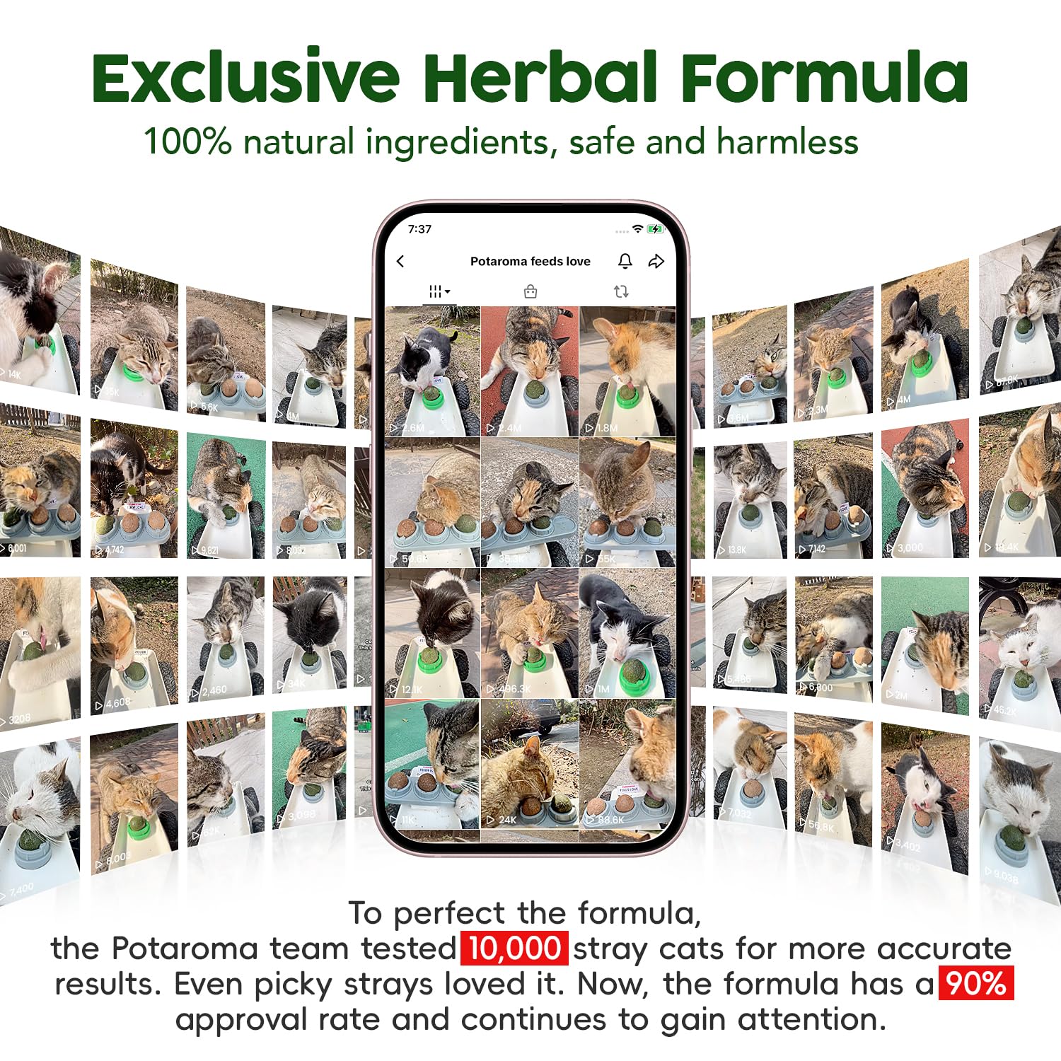 Potaroma Catnip Silvervine Balls 4 Pcs Extra Cat Energy Ball, Edible Kitten Lick, Teeth Cleaning Dental Chew Wall Treats for All