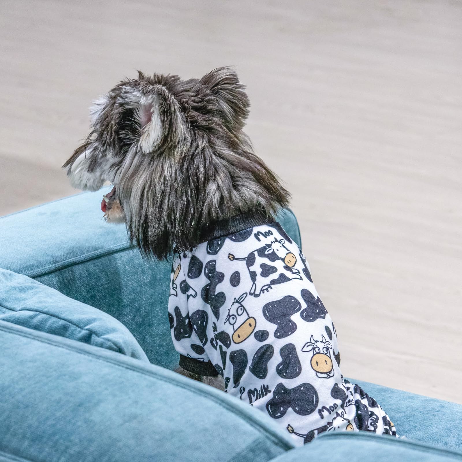 Cutebone Dog Halloween Pajamas Puppy Onesies Christmas Small Dogs Soft Pjs Coat Cat Apparel Comfy Pet Clothes Outfit Doggie Bodysuit P281M