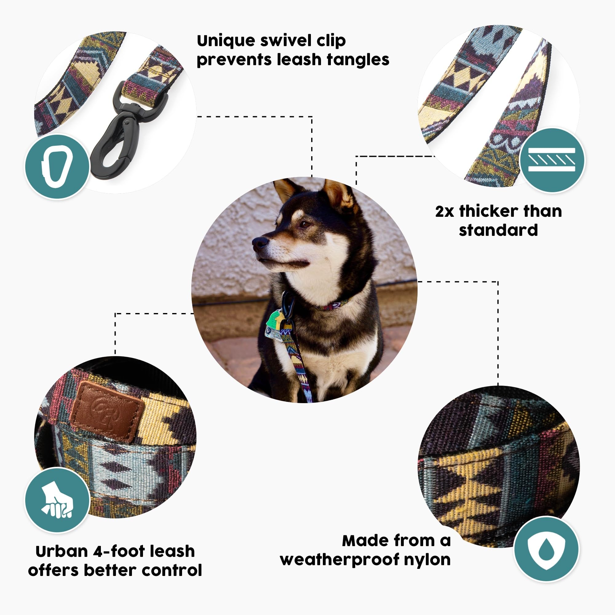 Embark Adventure Dog Leashes - Colorful, Strong And Sturdy Dog Leash For Small, Medium And Large Breed Dogs (Azure, 4 Ft)